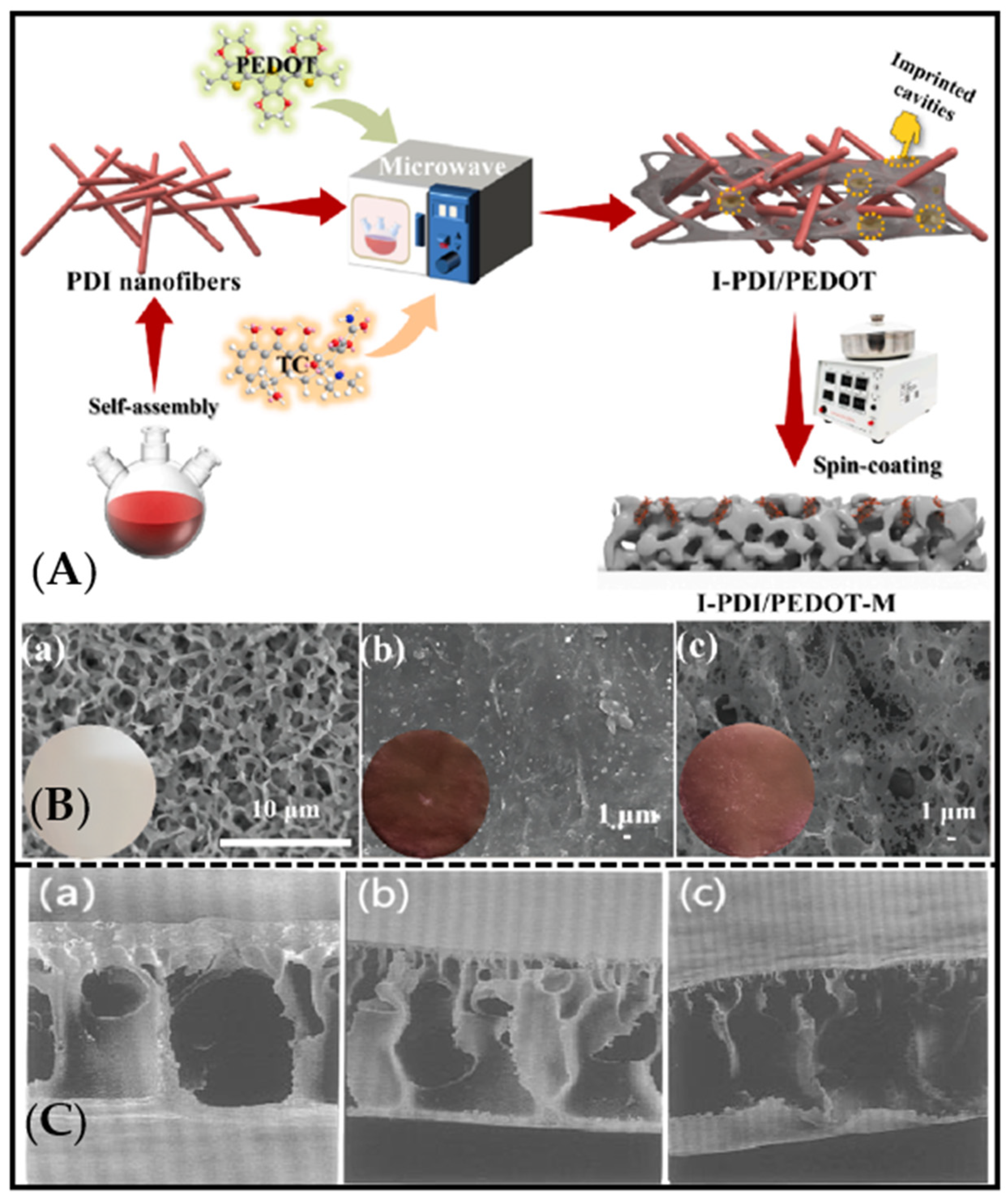 Molecules 28 05764 g001 Molecules 28 05764 g001