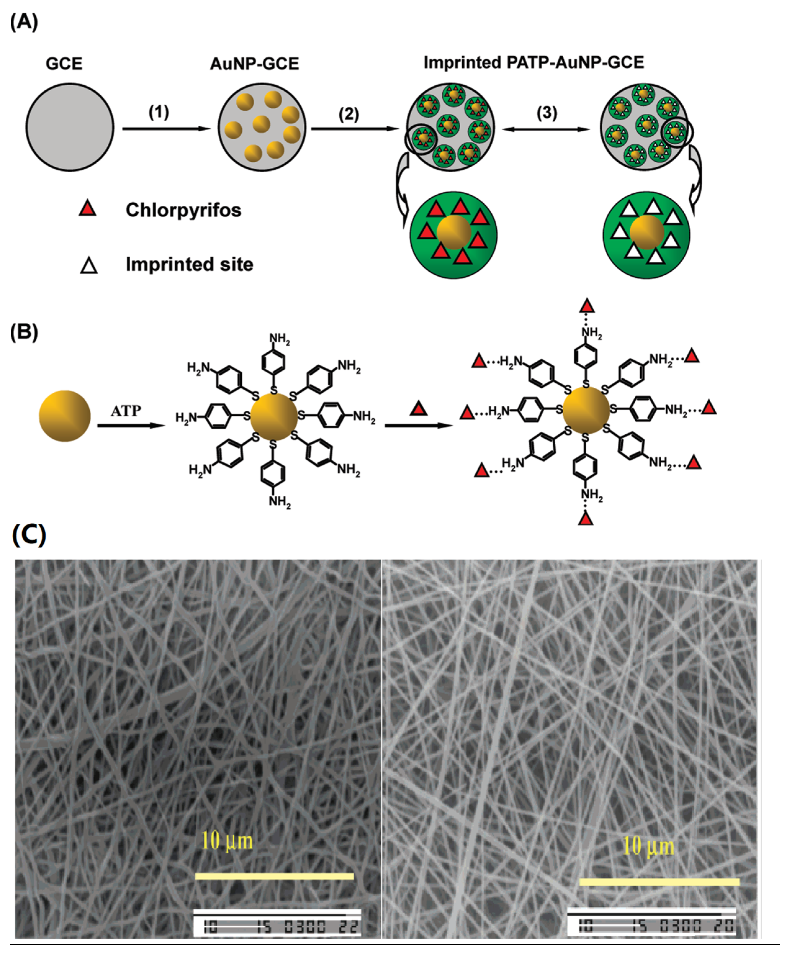 Molecules 28 05764 g002 Molecules 28 05764 g002