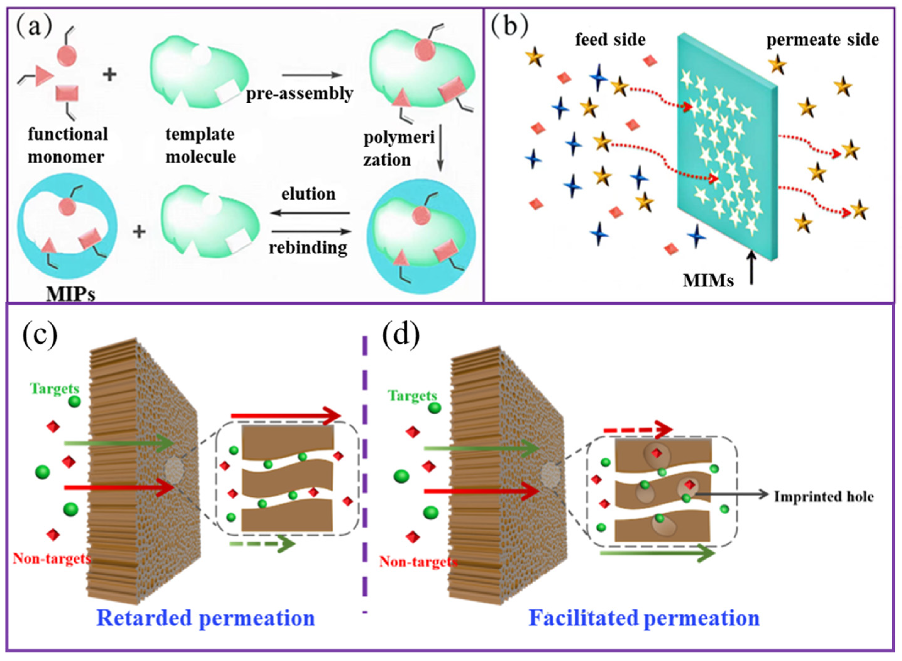 Molecules 28 05764 g003 Molecules 28 05764 g003
