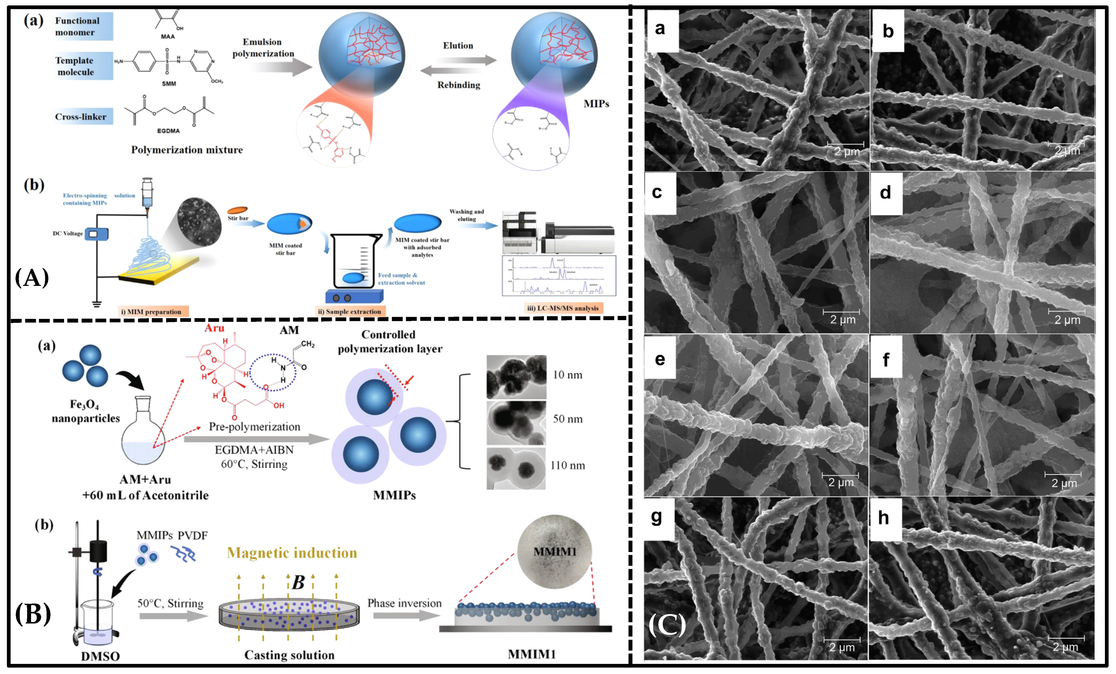 Molecules 28 05764 g005 Molecules 28 05764 g005