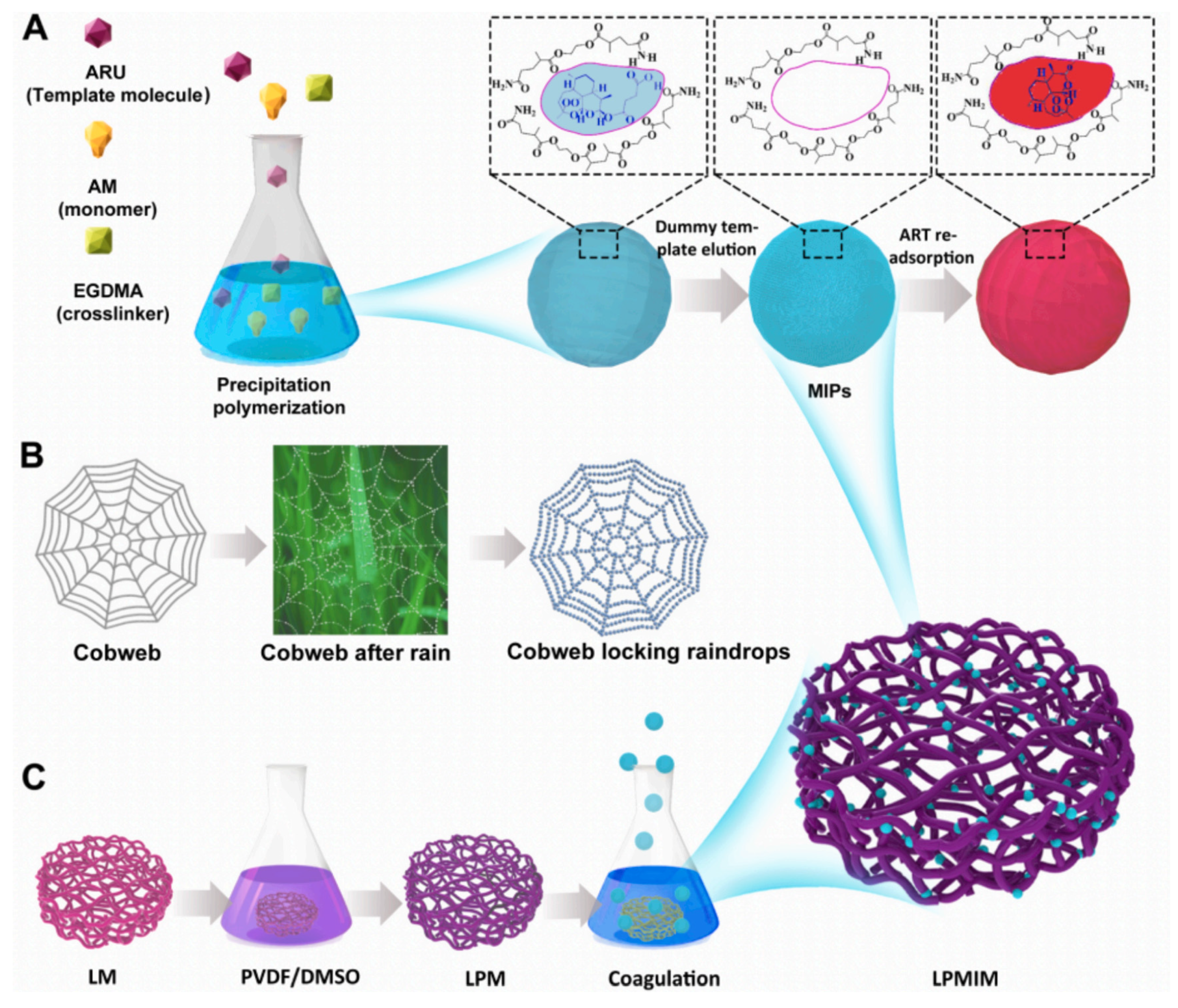 Molecules 28 05764 g007 Molecules 28 05764 g007