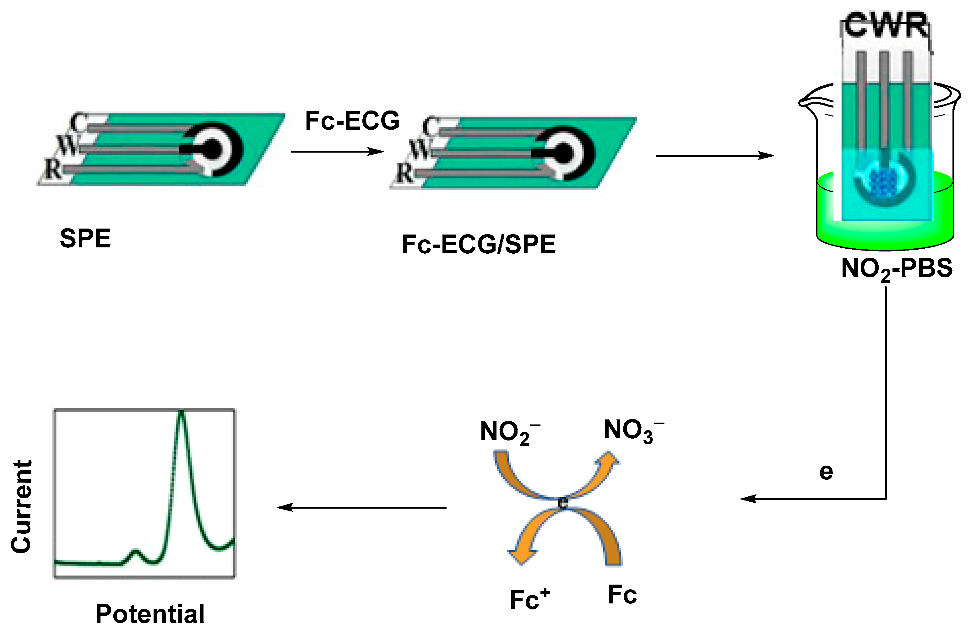 Molecules 28 05765 g011