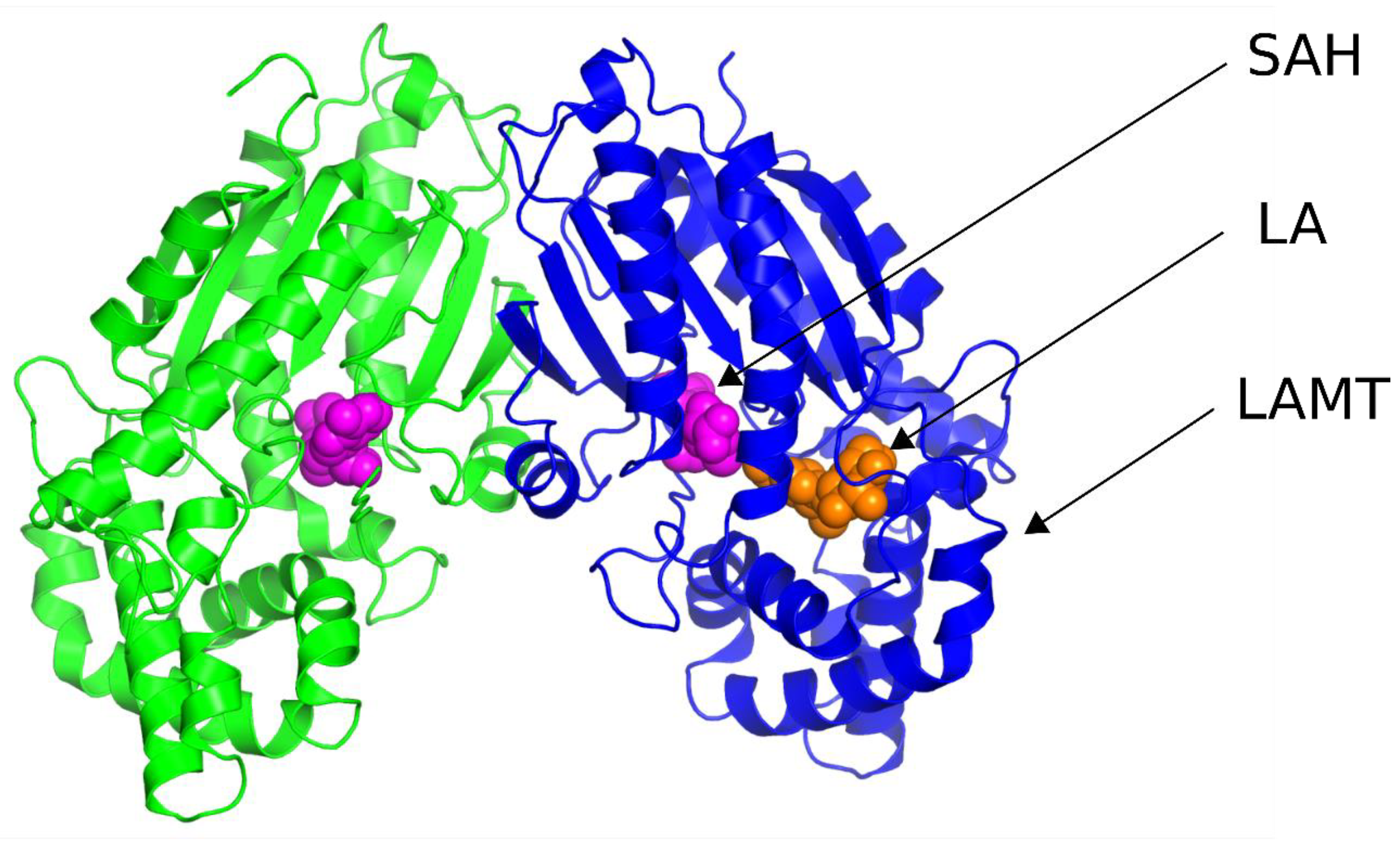 Molecules 28 05767 g003