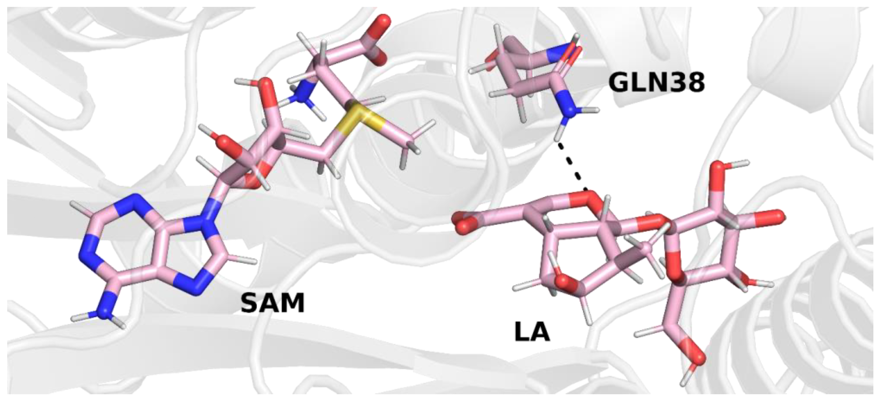 Molecules 28 05767 g004