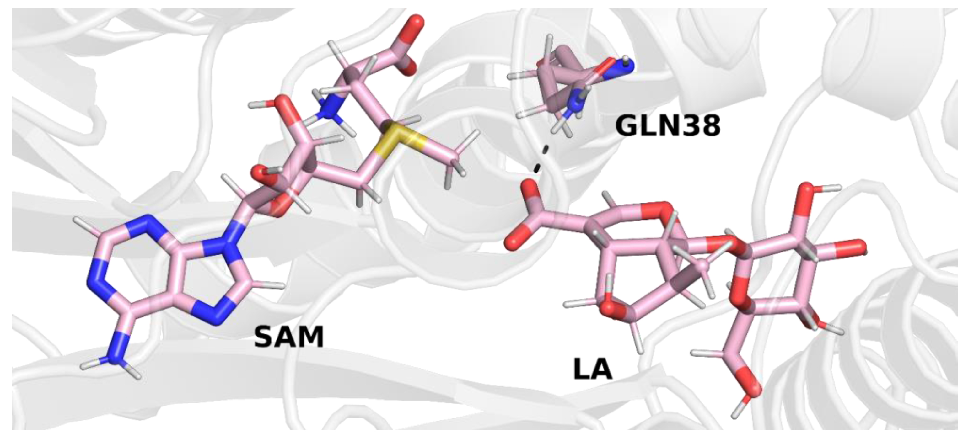 Molecules 28 05767 g005