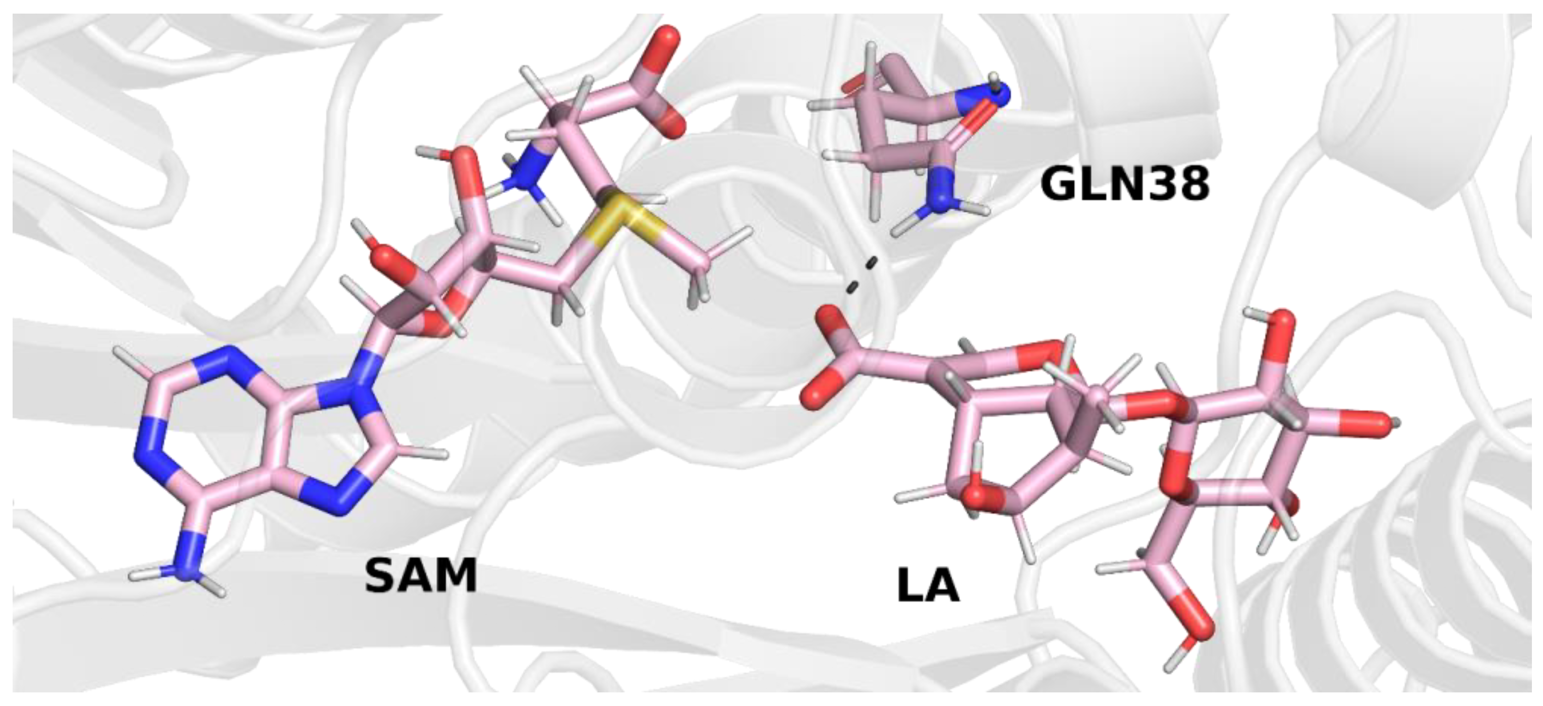 Molecules 28 05767 g006