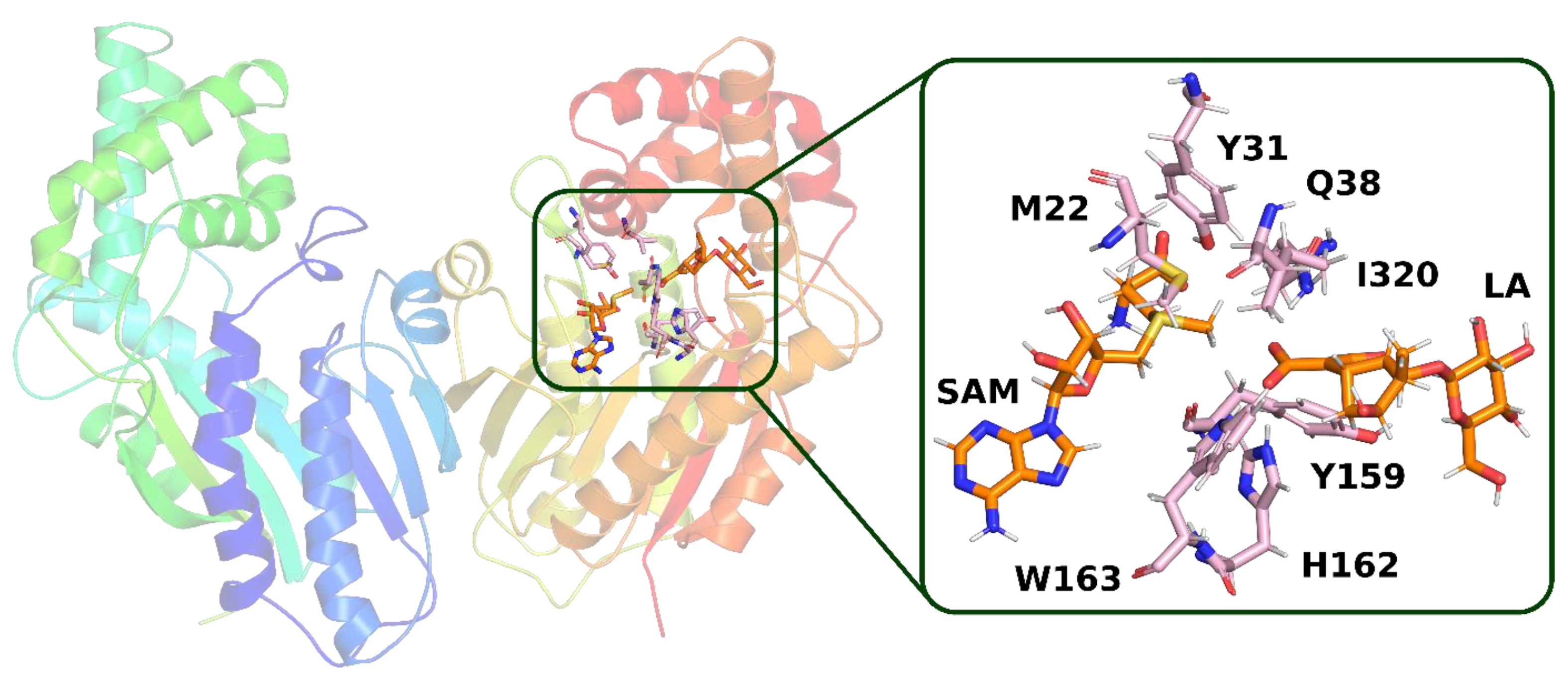 Molecules 28 05767 g011