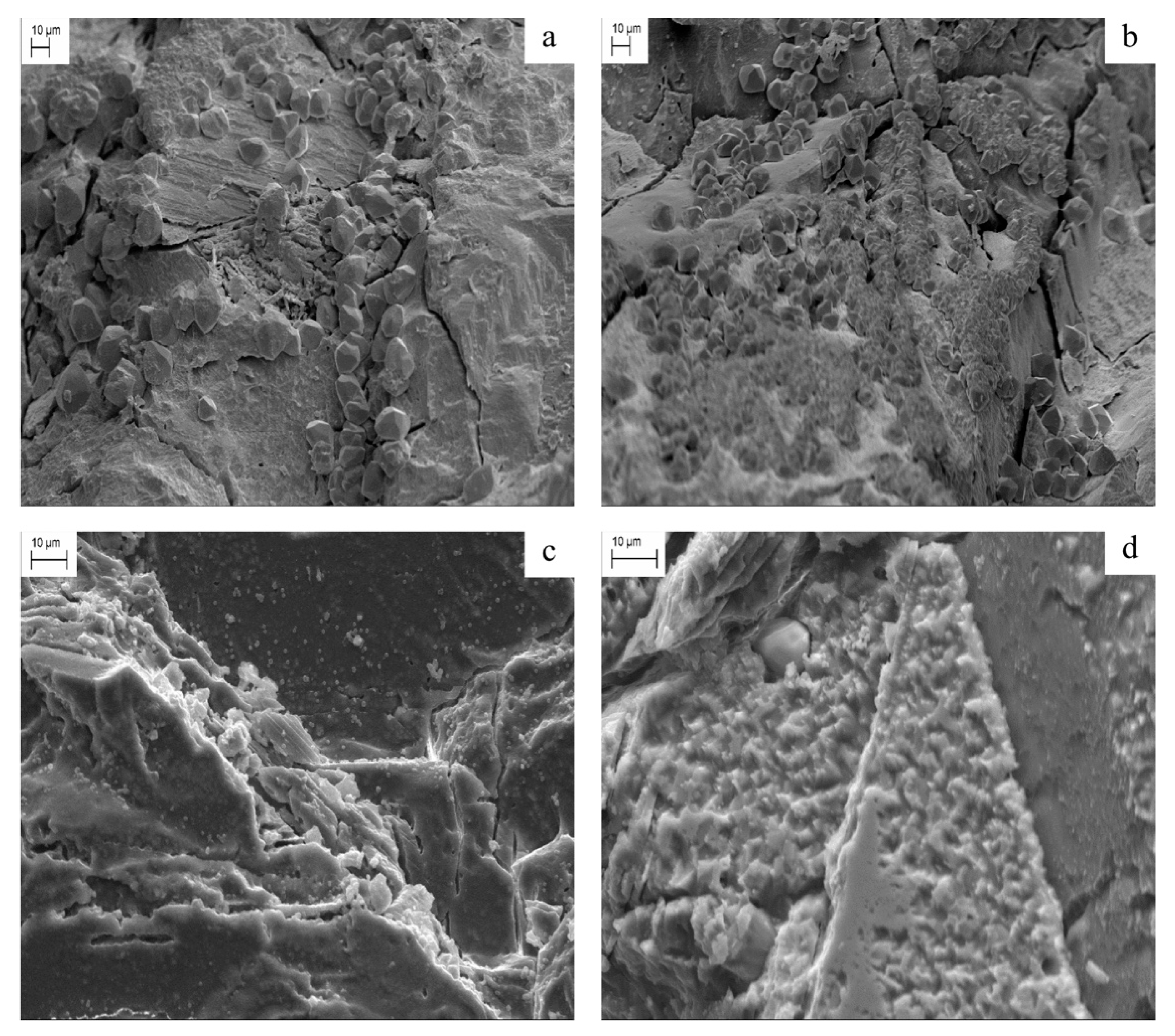 Molecules 28 05768 g002 Molecules 28 05768 g002