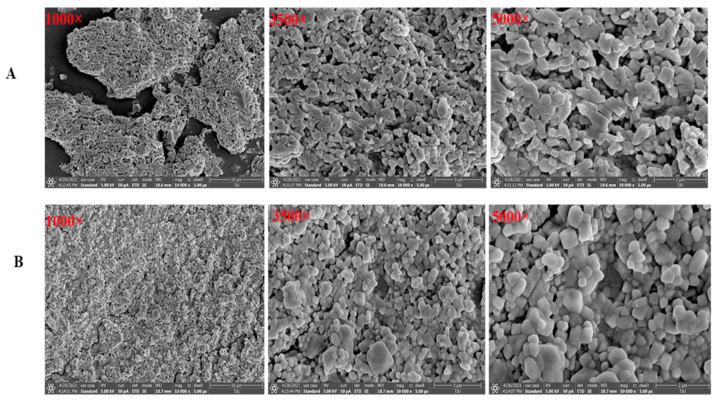 Molecules 28 05771 g005 Molecules 28 05771 g005