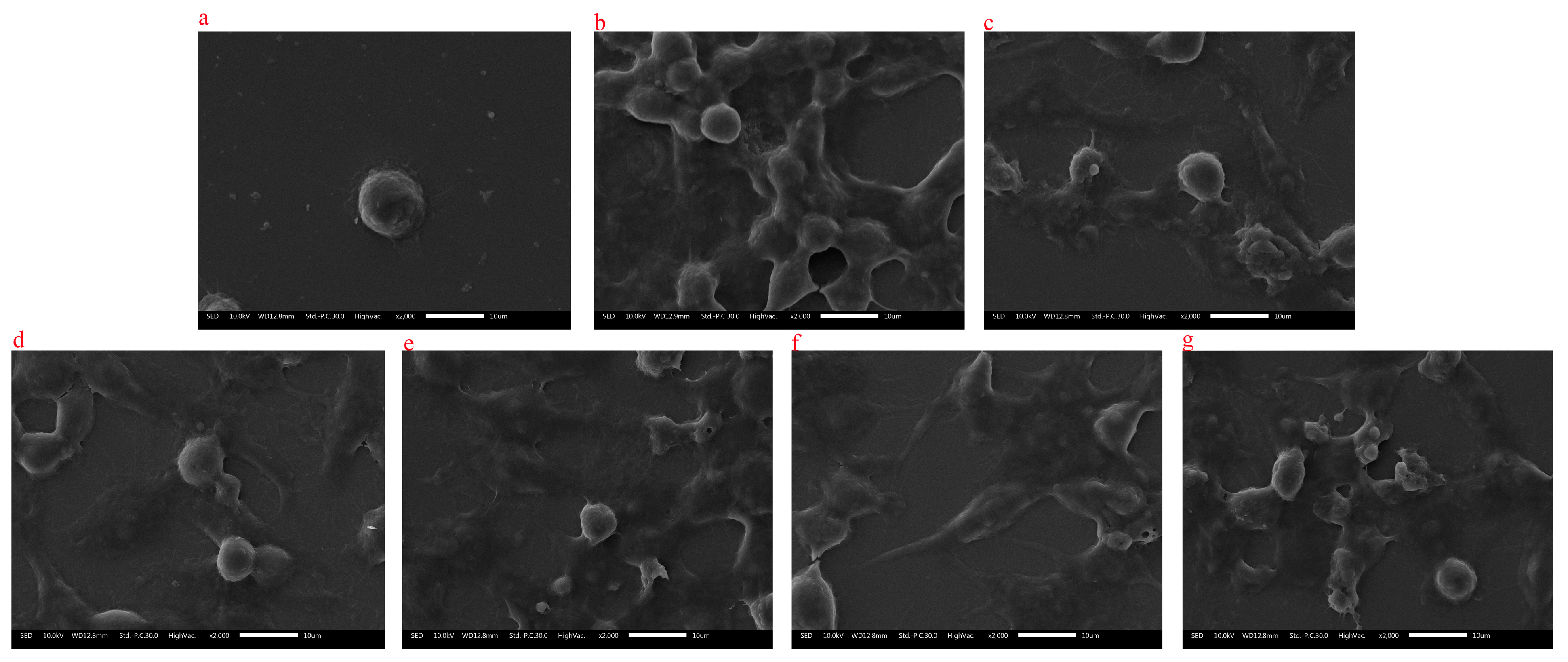 Molecules 28 05771 g008 Molecules 28 05771 g008
