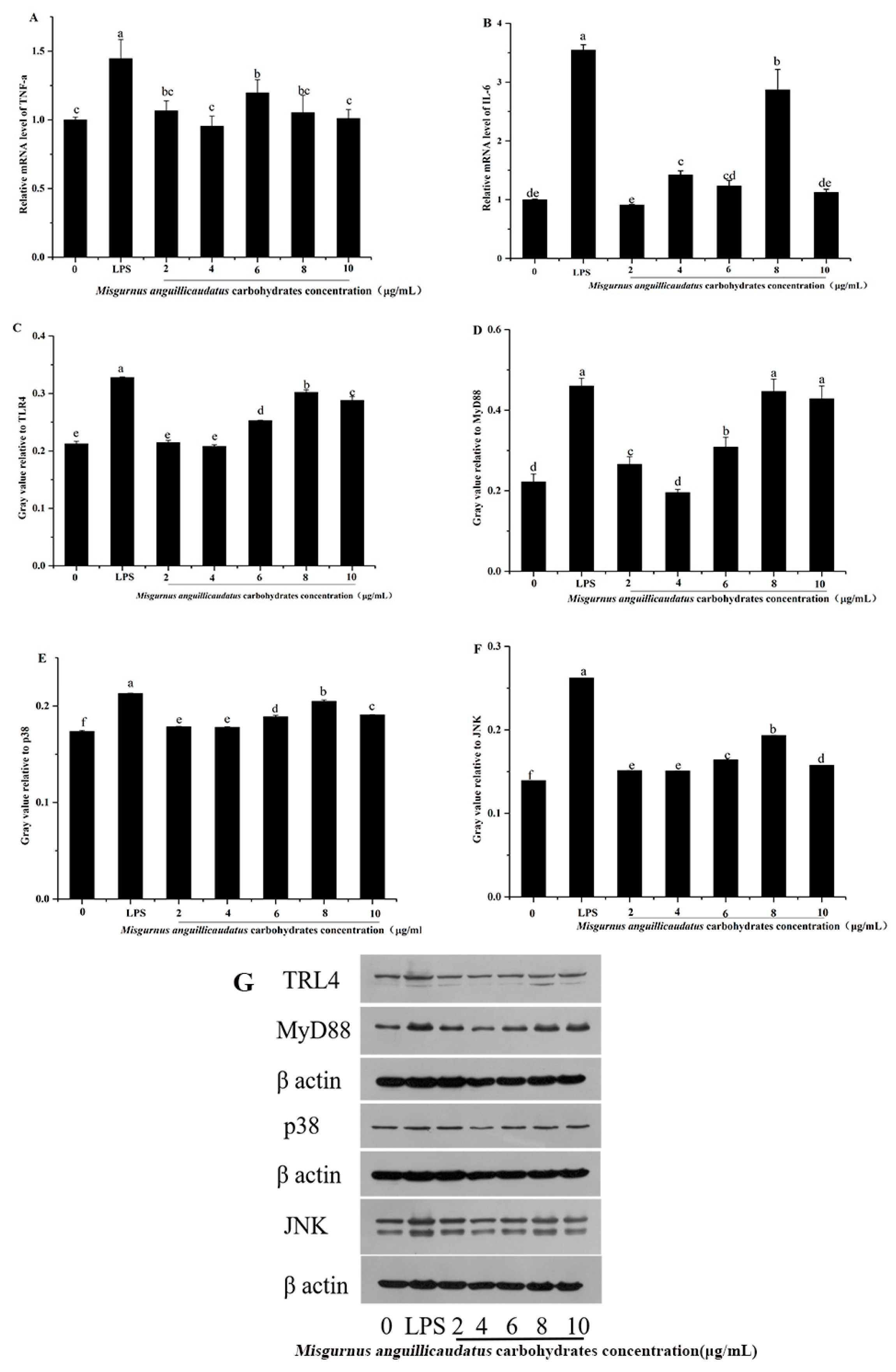 Molecules 28 05771 g009 Molecules 28 05771 g009