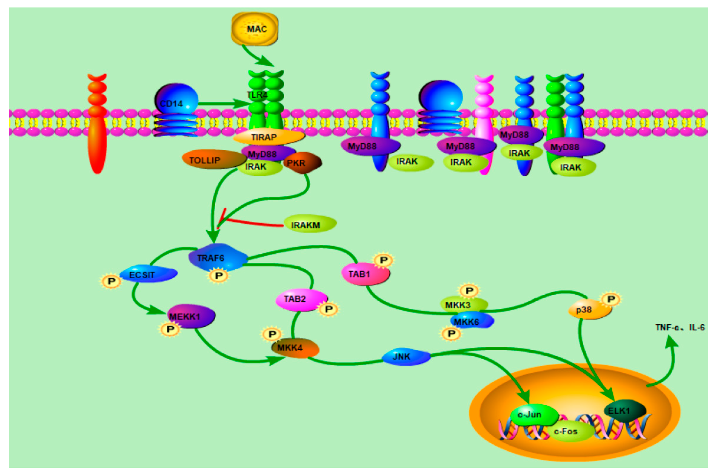 Molecules 28 05771 g010 Molecules 28 05771 g010