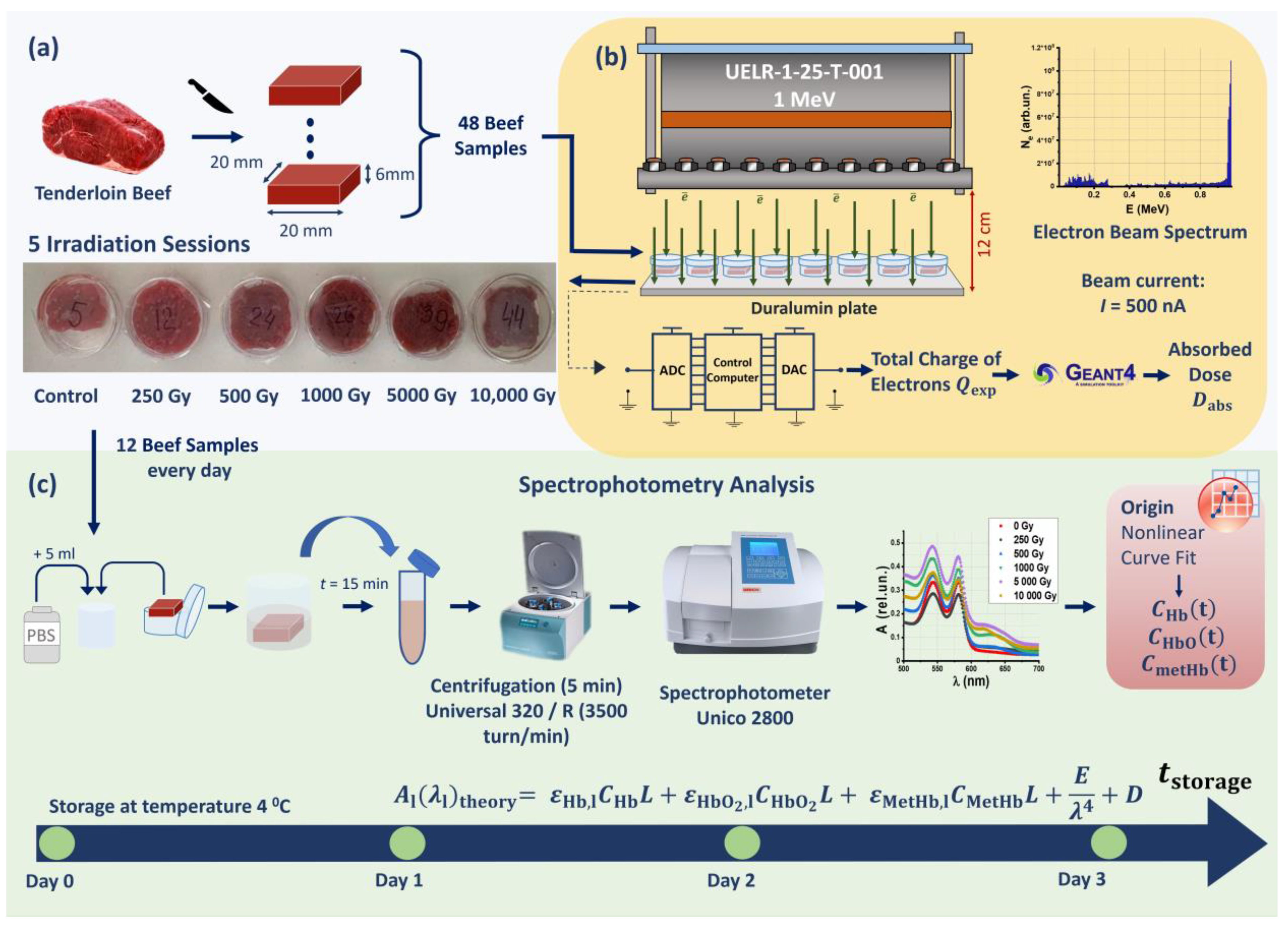 Molecules 28 05773 g001