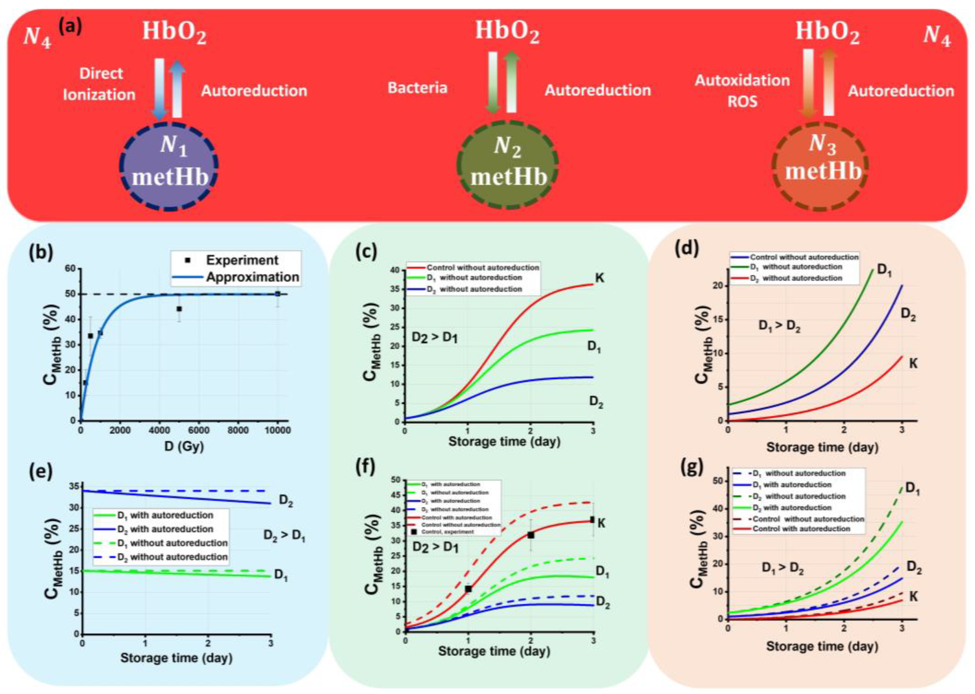 Molecules 28 05773 g005