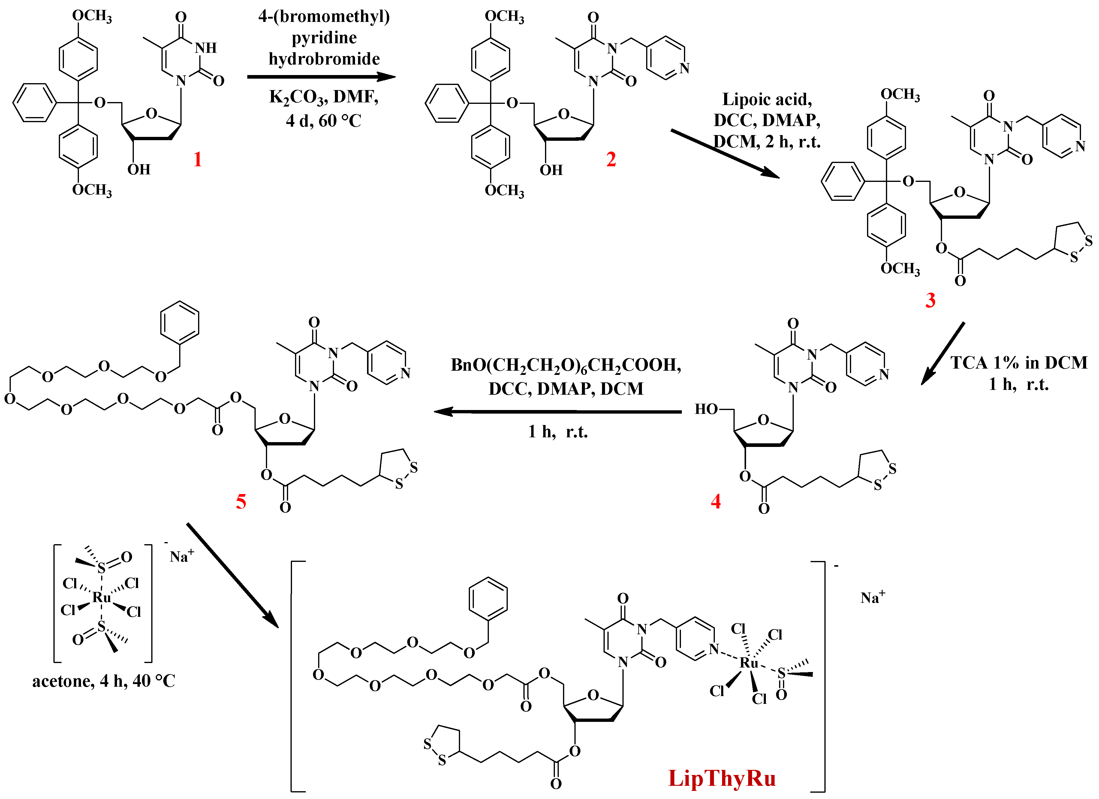 Molecules 28 05775 sch001 Molecules 28 05775 sch001