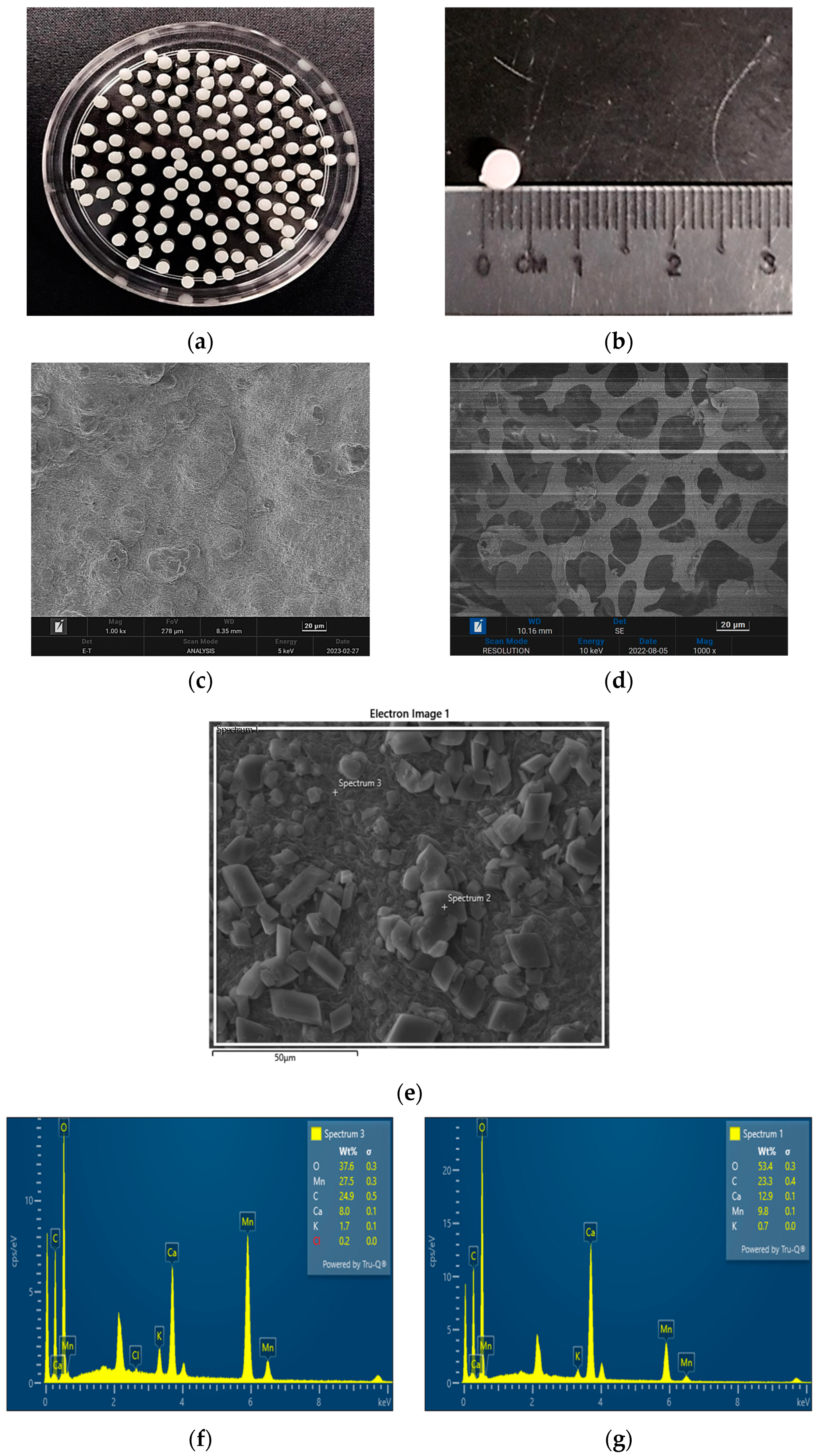 Molecules 28 05777 g006 Molecules 28 05777 g006