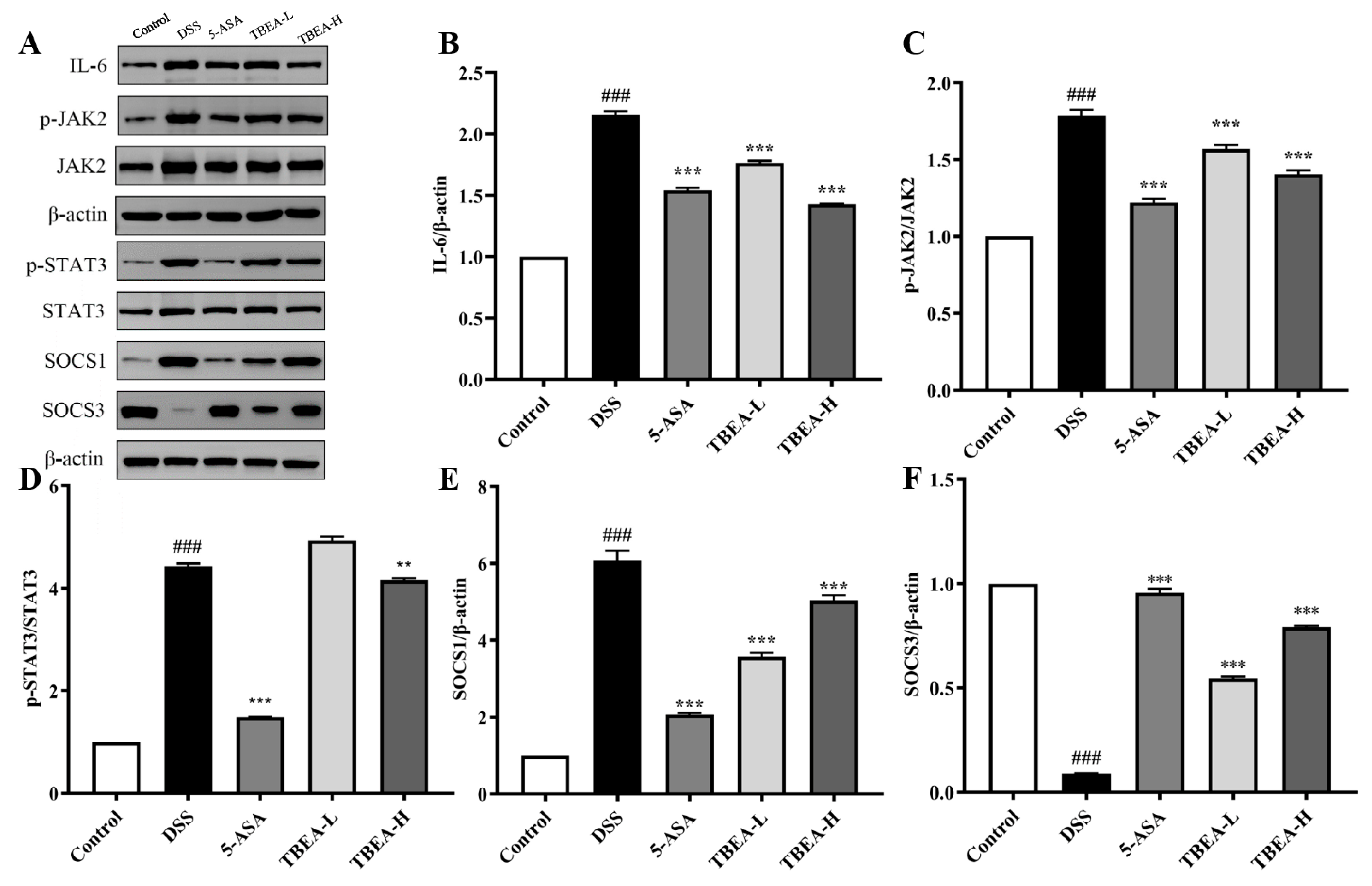 Molecules 28 05783 g008 Molecules 28 05783 g008