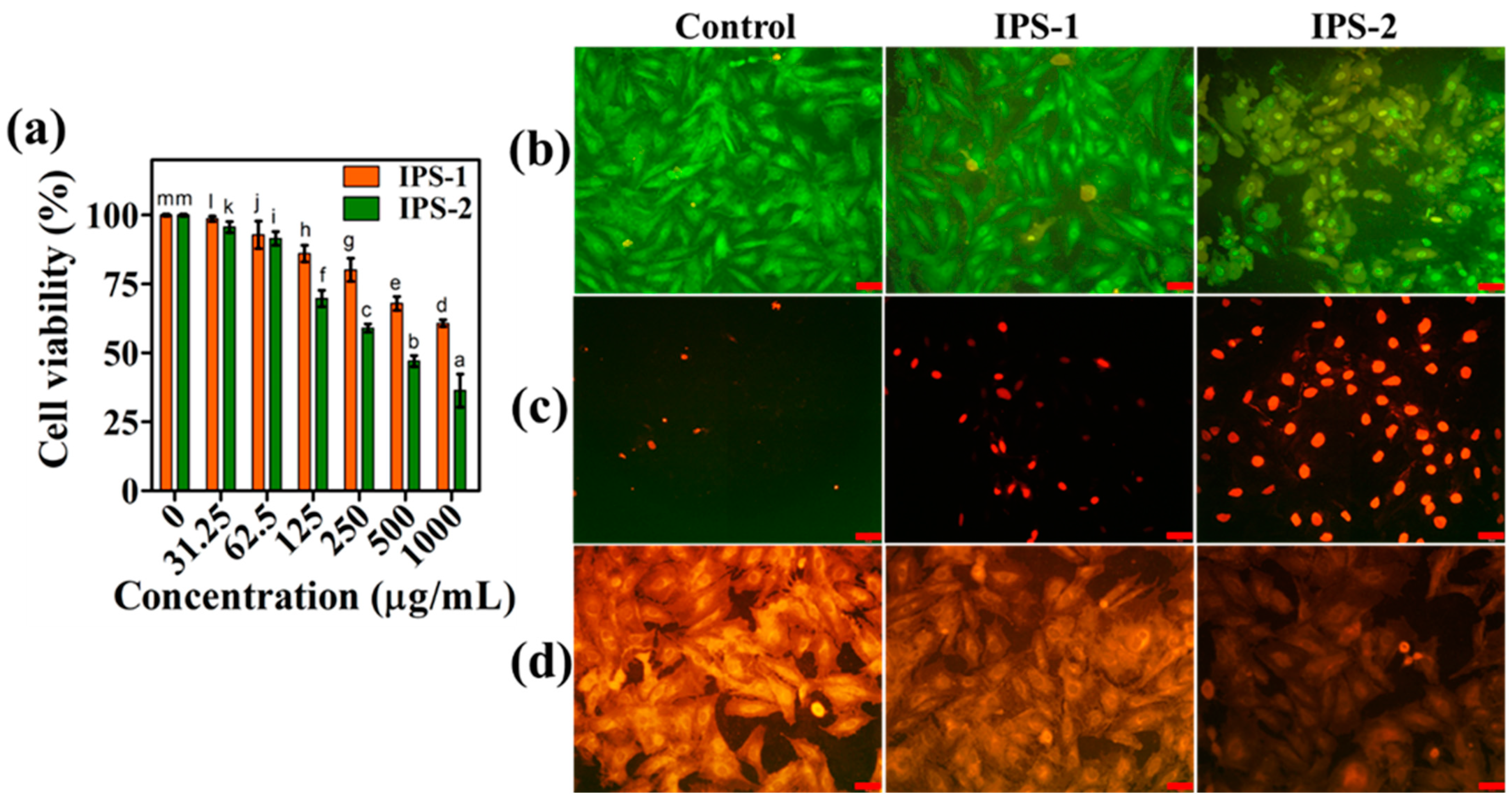 Molecules 28 05788 g008
