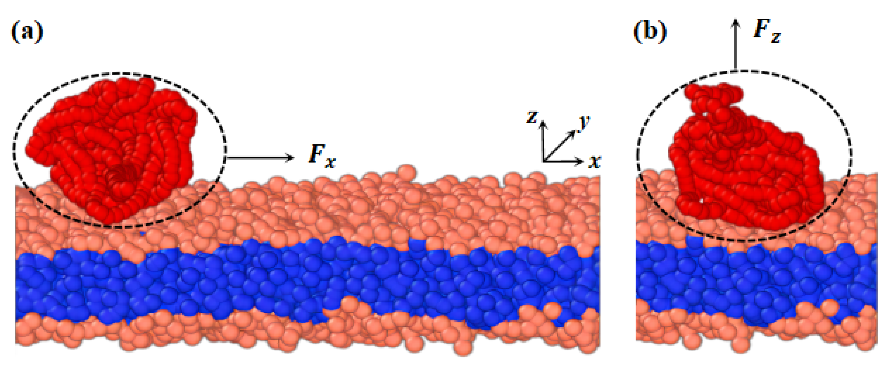 Molecules 28 05790 g011 Molecules 28 05790 g011