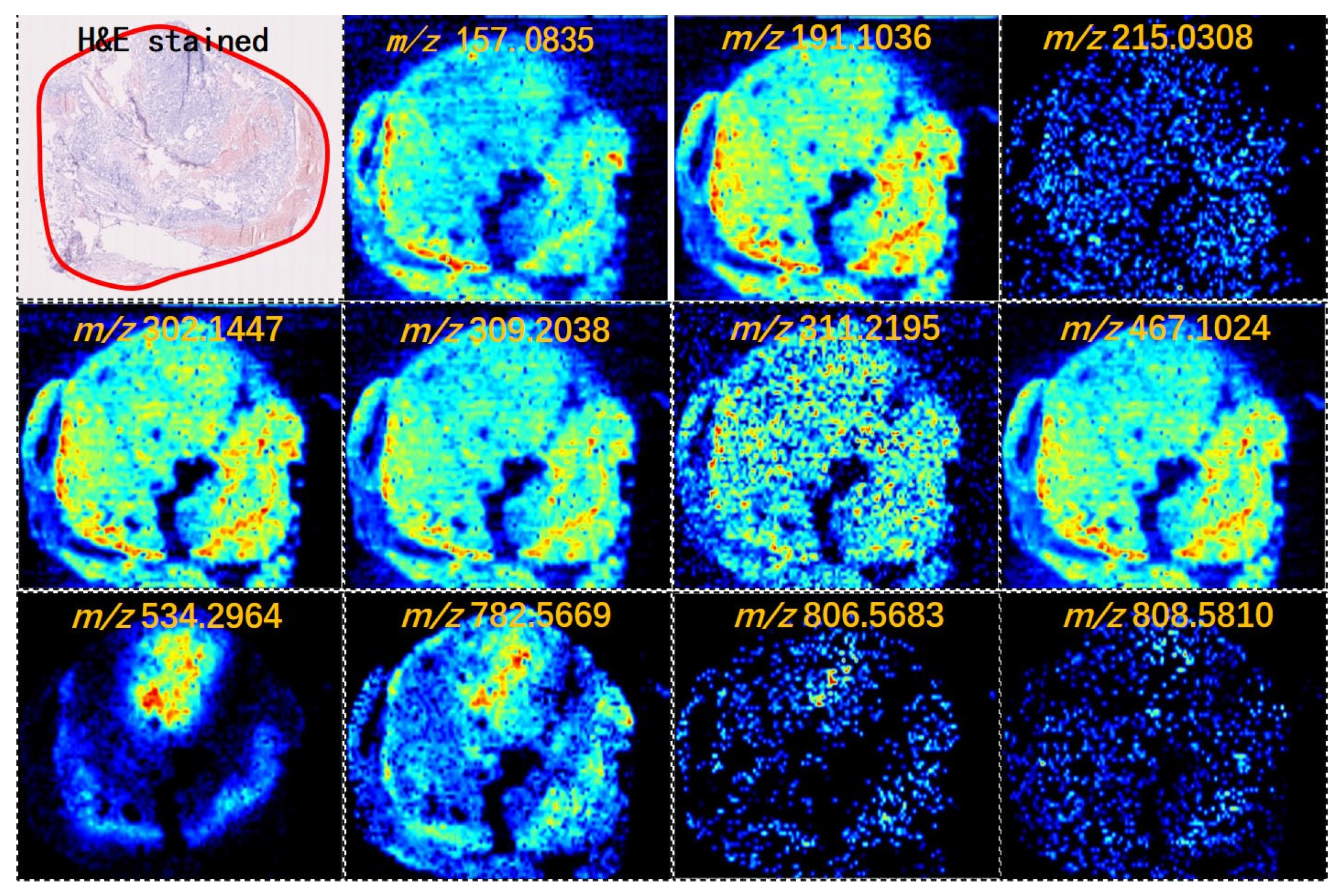 Molecules 28 05791 g001 Molecules 28 05791 g001