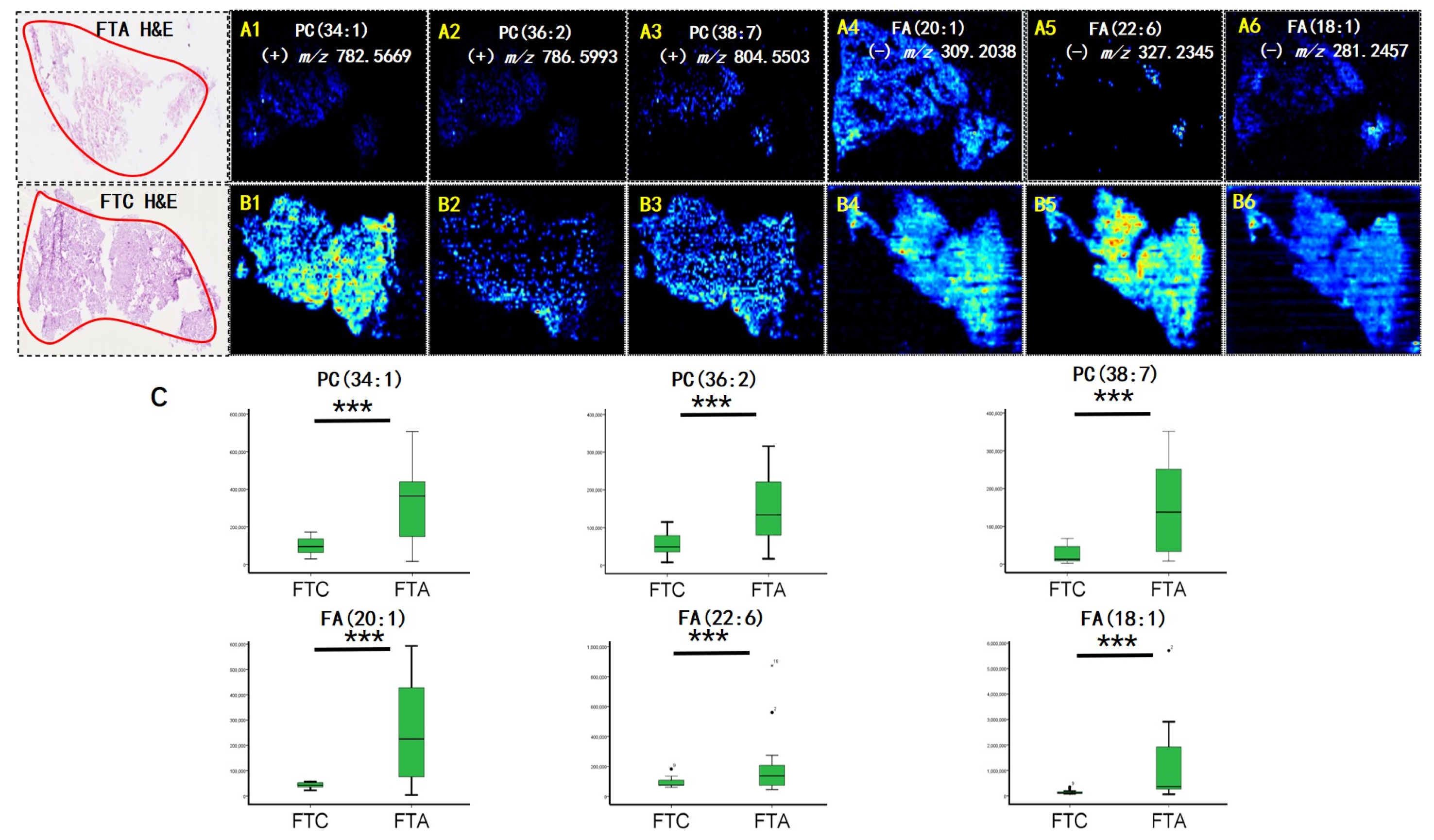 Molecules 28 05791 g002 Molecules 28 05791 g002