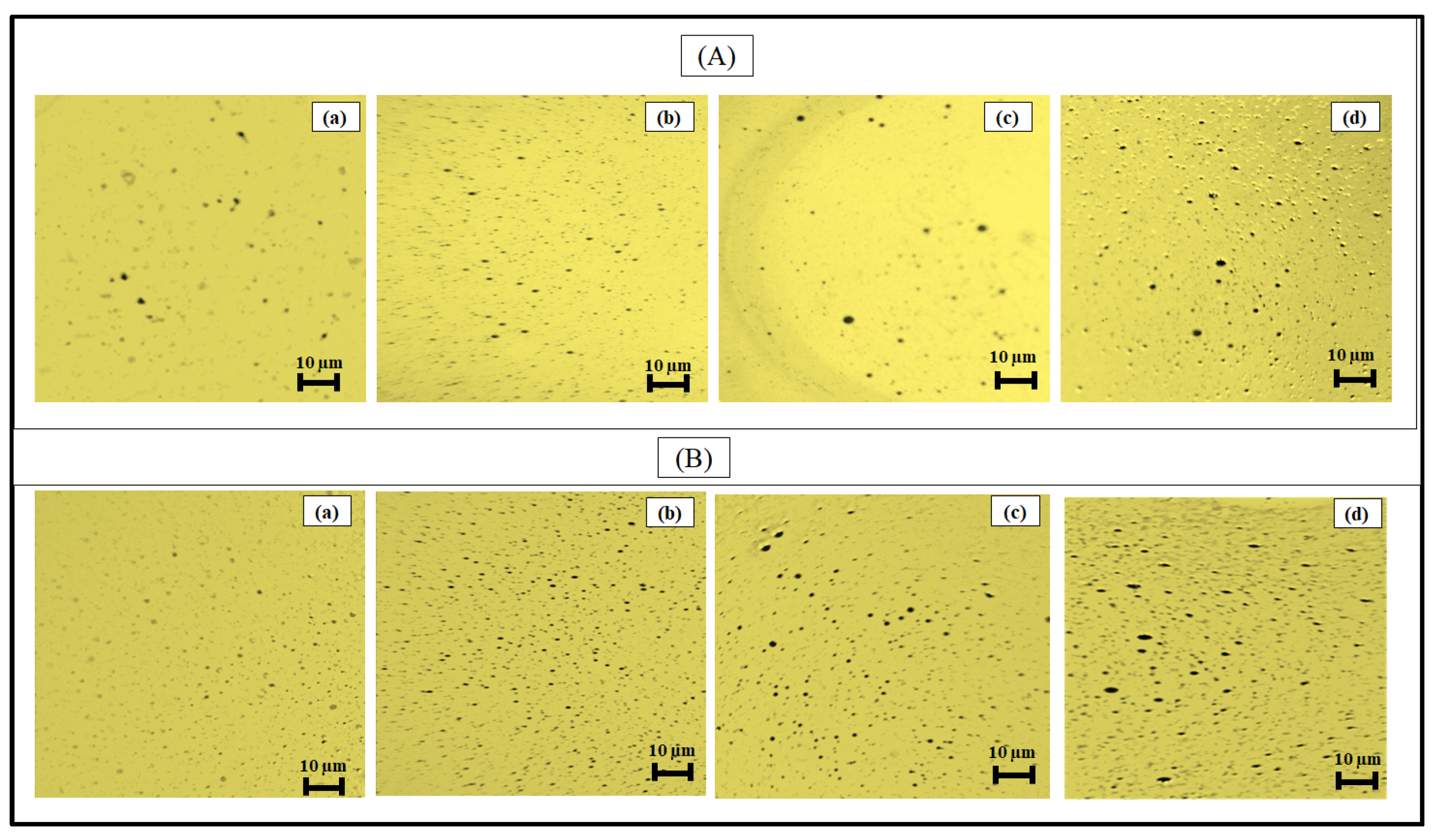 Molecules 28 05794 g004 Molecules 28 05794 g004