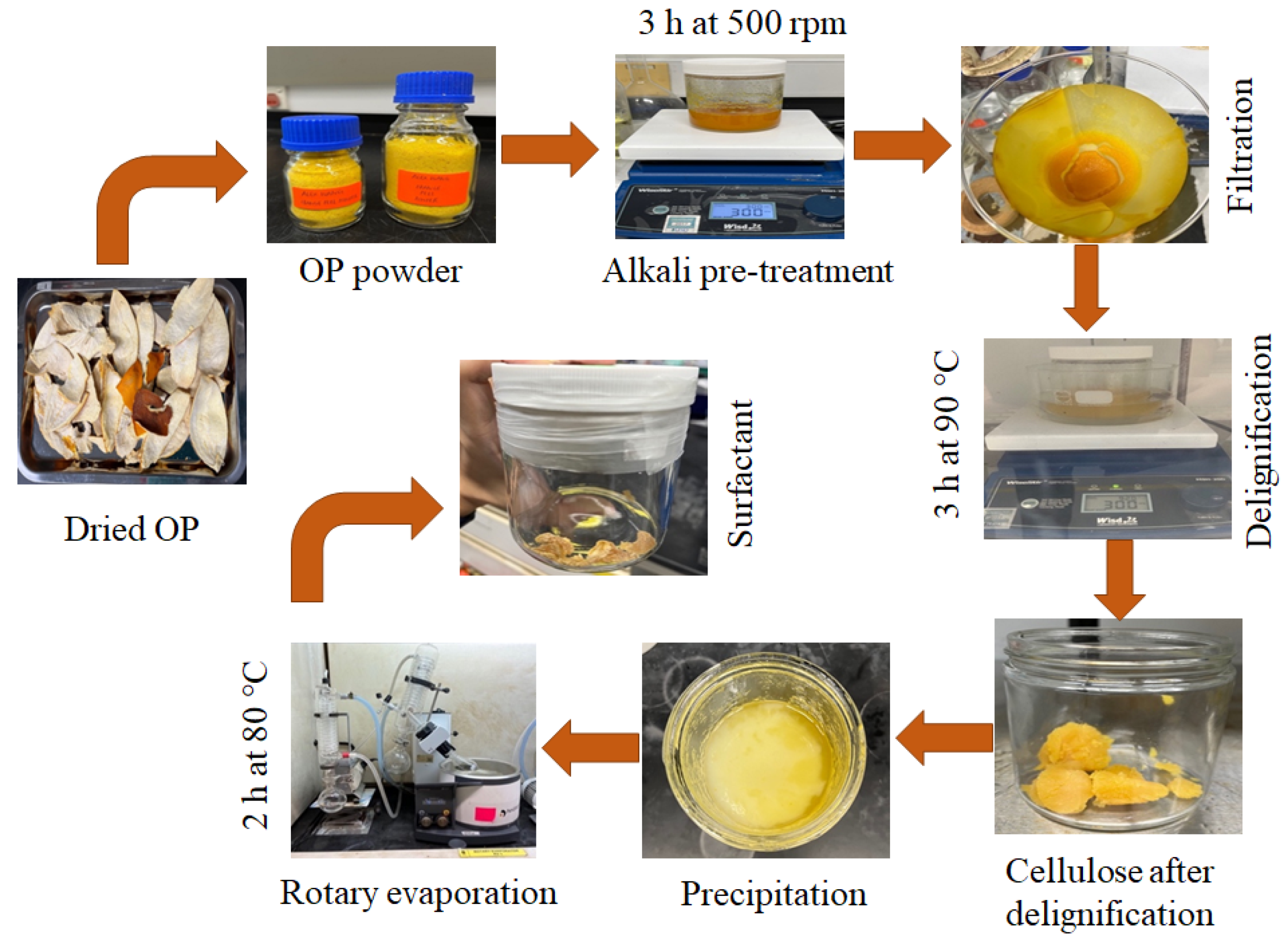 Molecules 28 05794 g005 Molecules 28 05794 g005