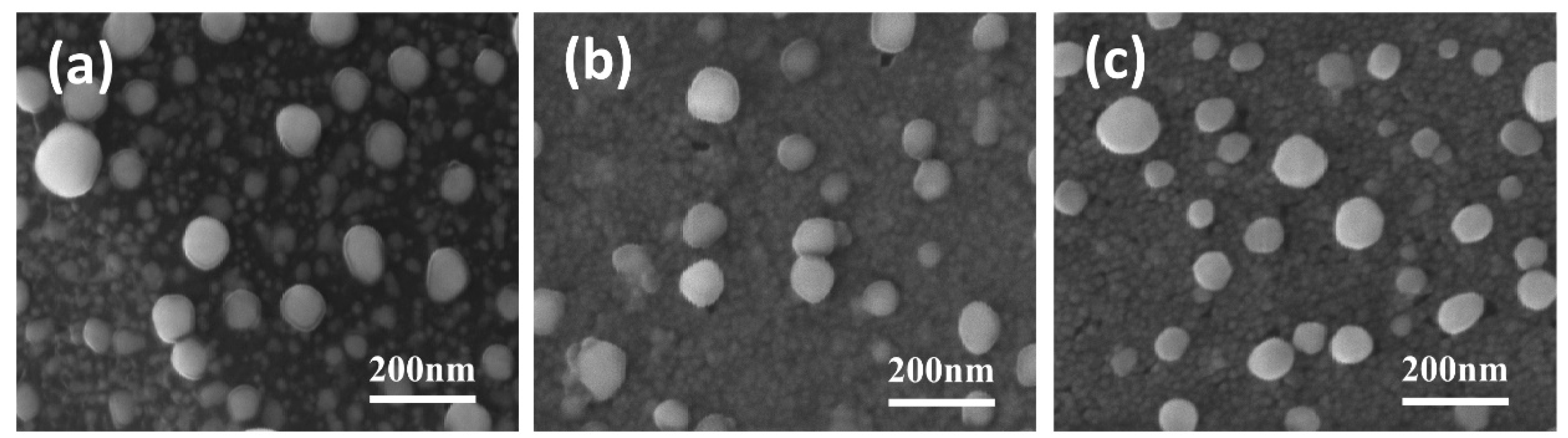Molecules 28 05798 g001