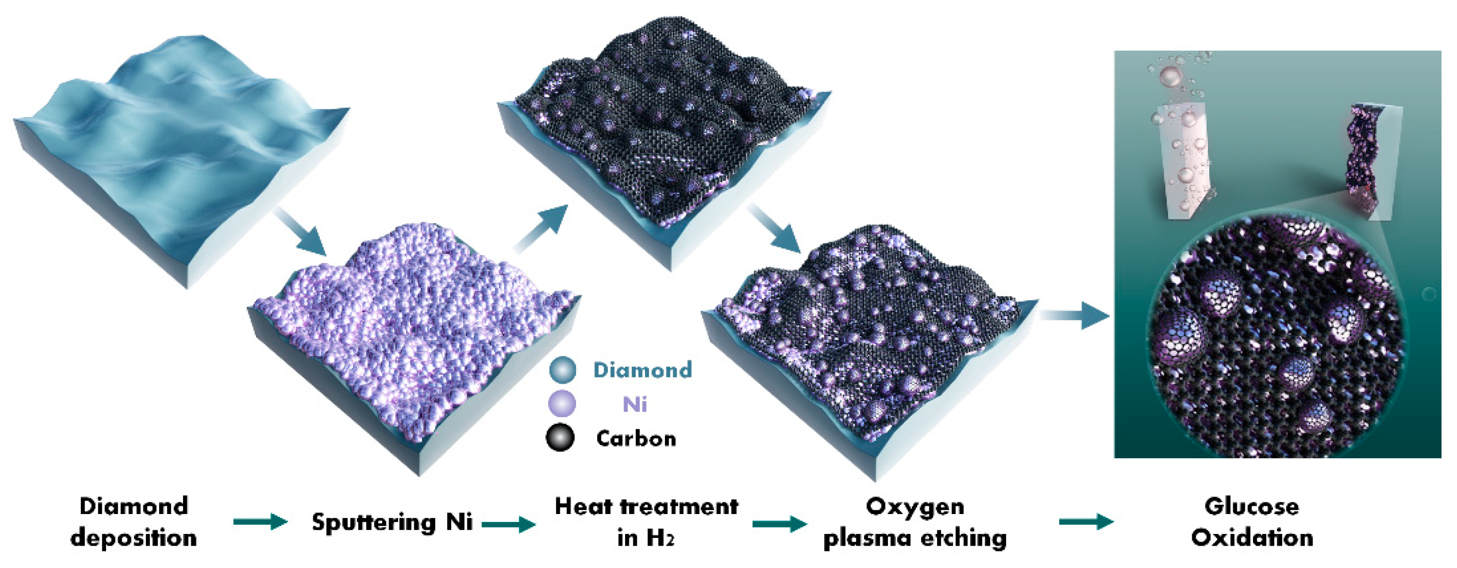 Molecules 28 05798 g008