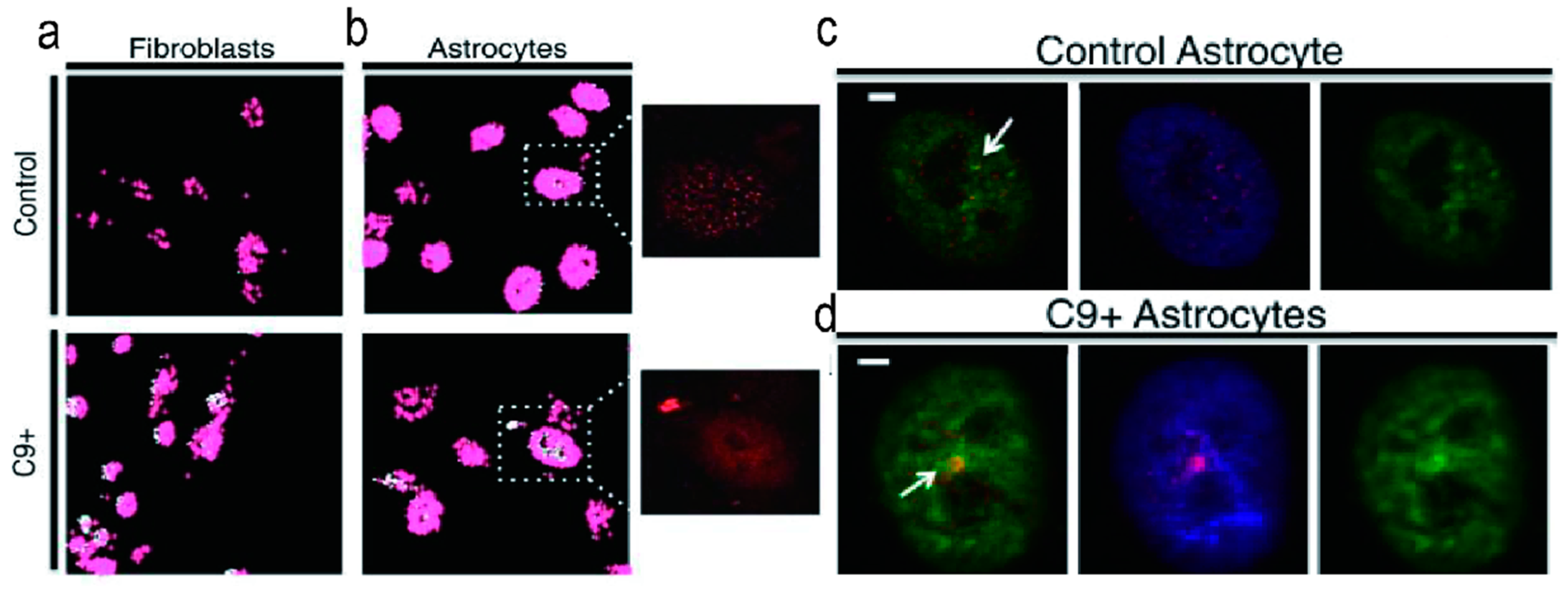 Molecules 28 05801 g004 Molecules 28 05801 g004
