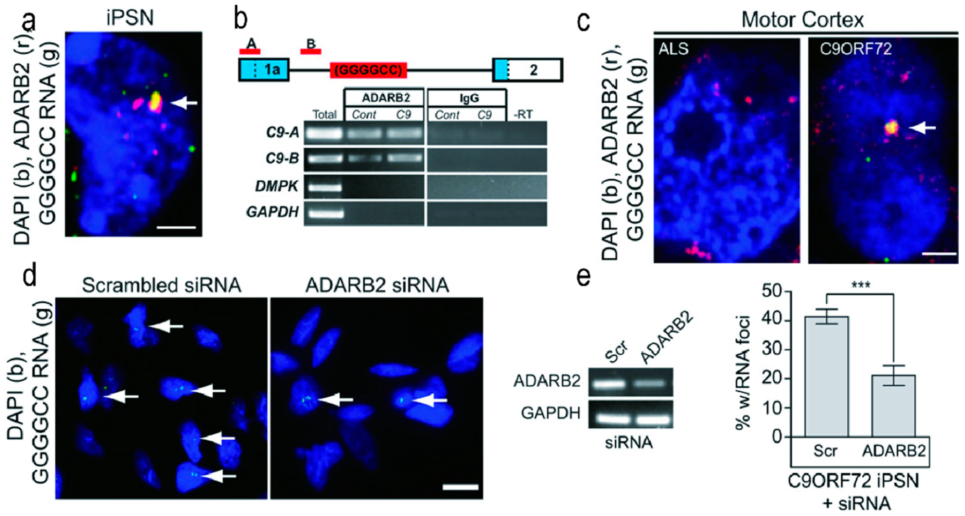 Molecules 28 05801 g005 Molecules 28 05801 g005