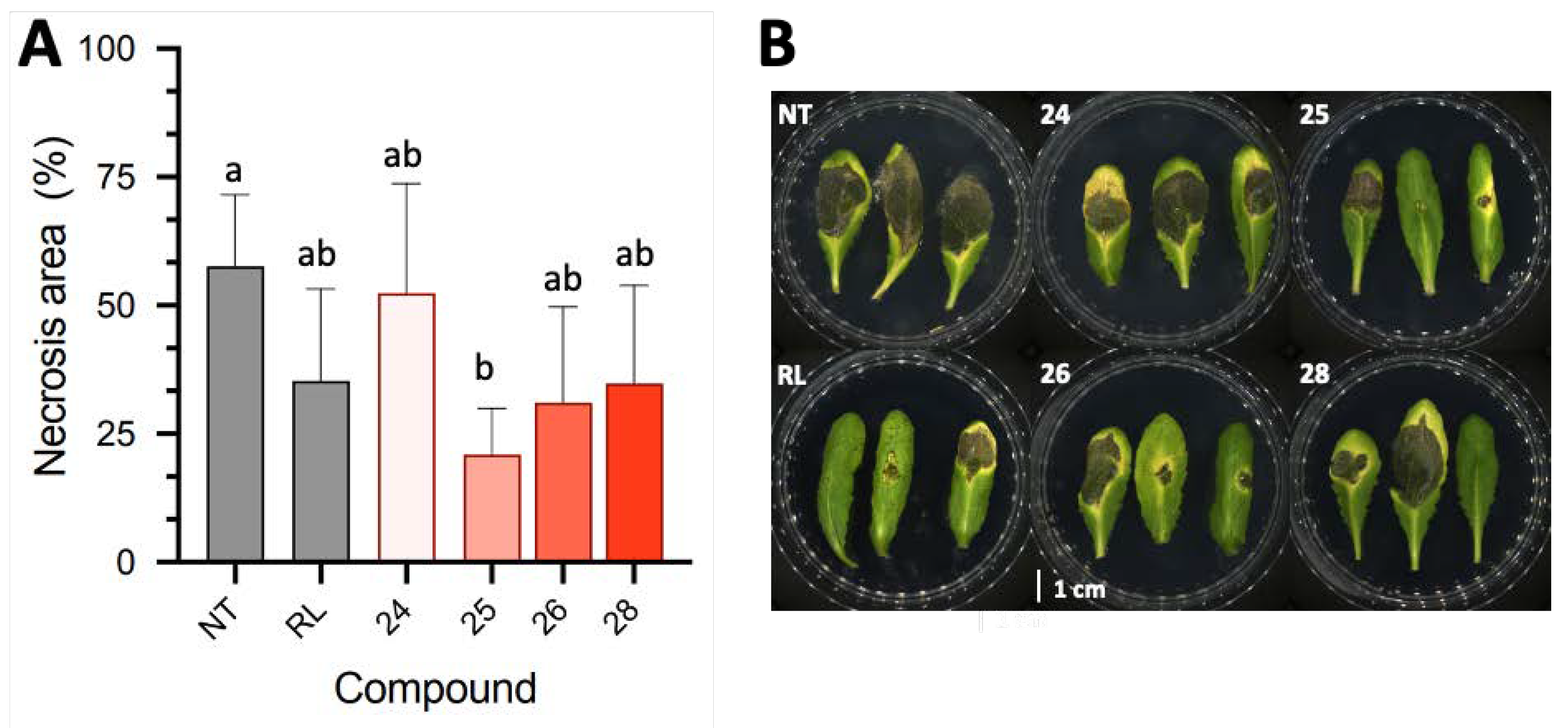 Molecules 28 05803 g004 Molecules 28 05803 g004
