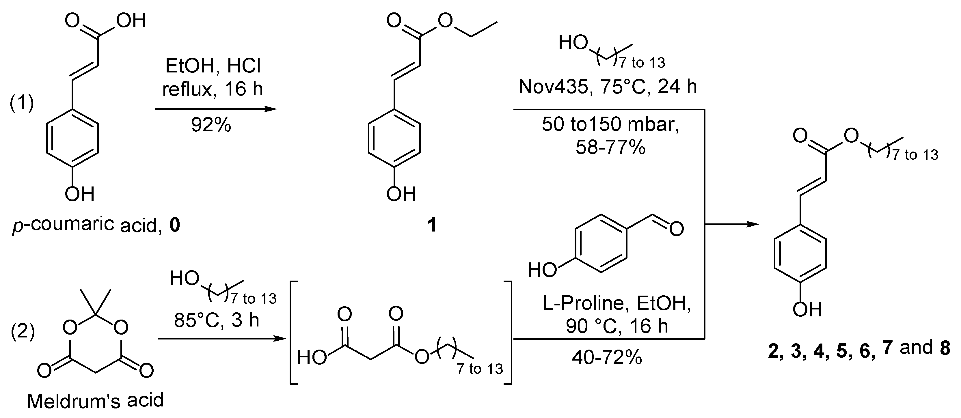 Molecules 28 05803 sch001 Molecules 28 05803 sch001