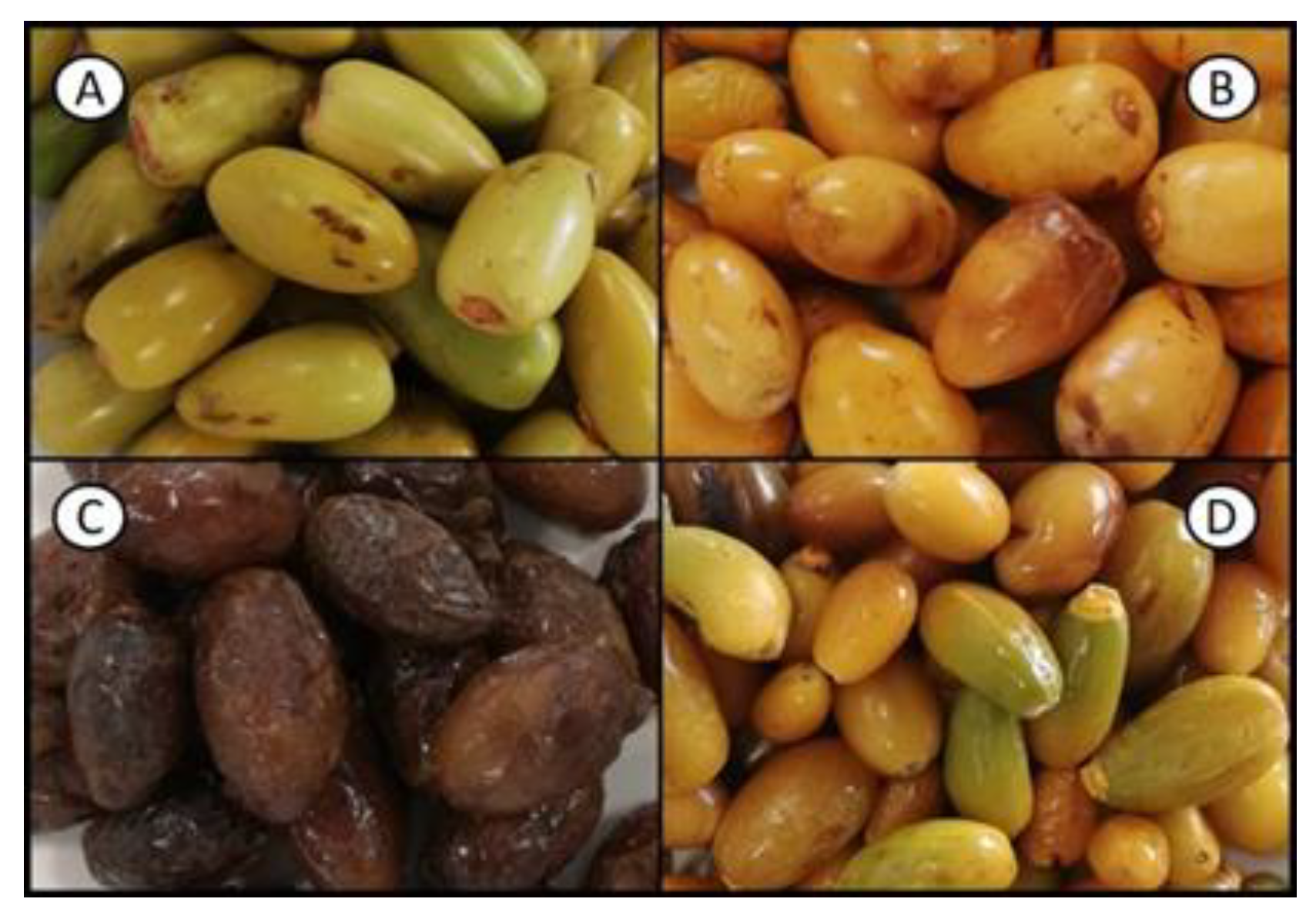 Molecules 28 05807 g004