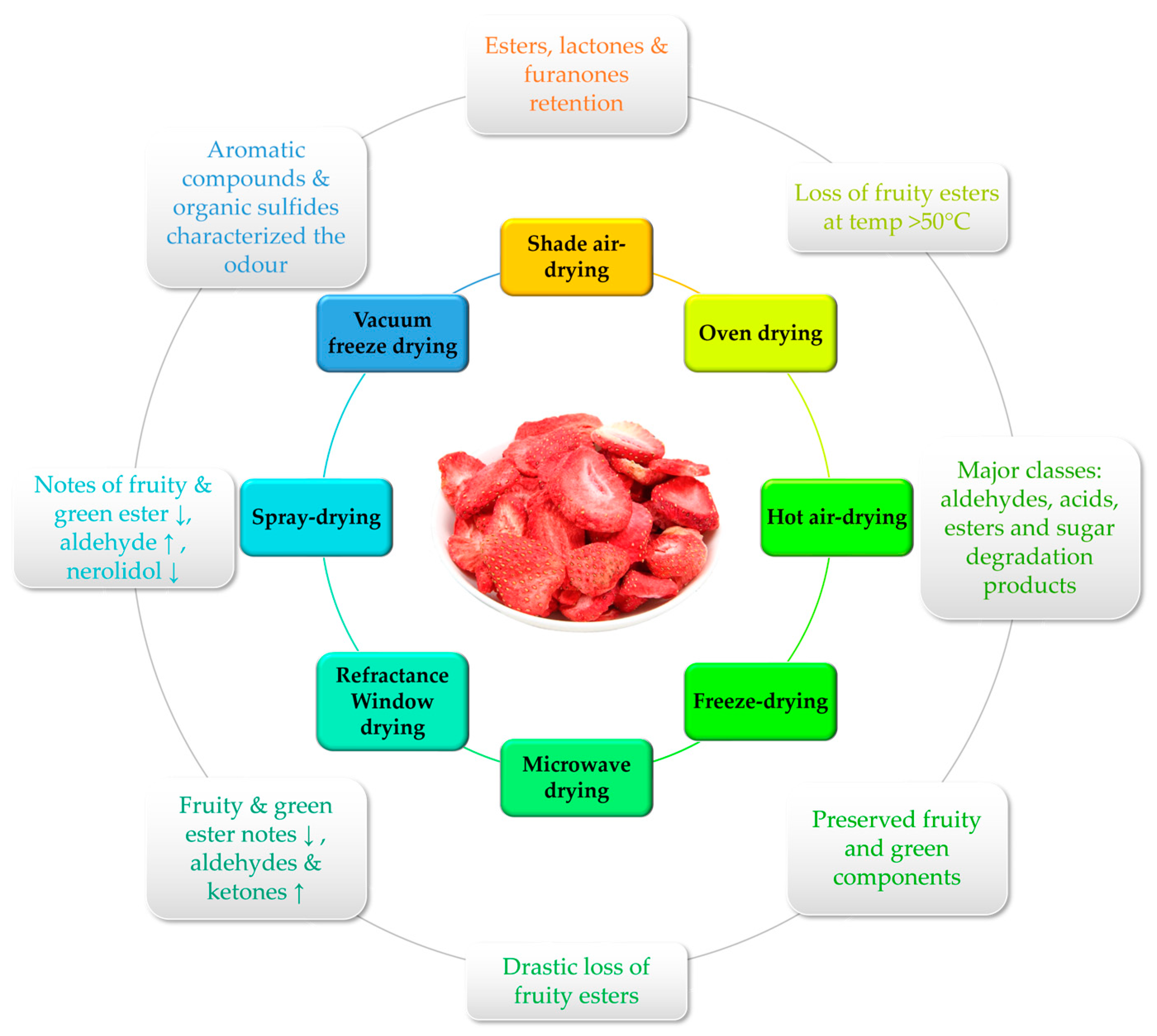 Molecules 28 05810 g002