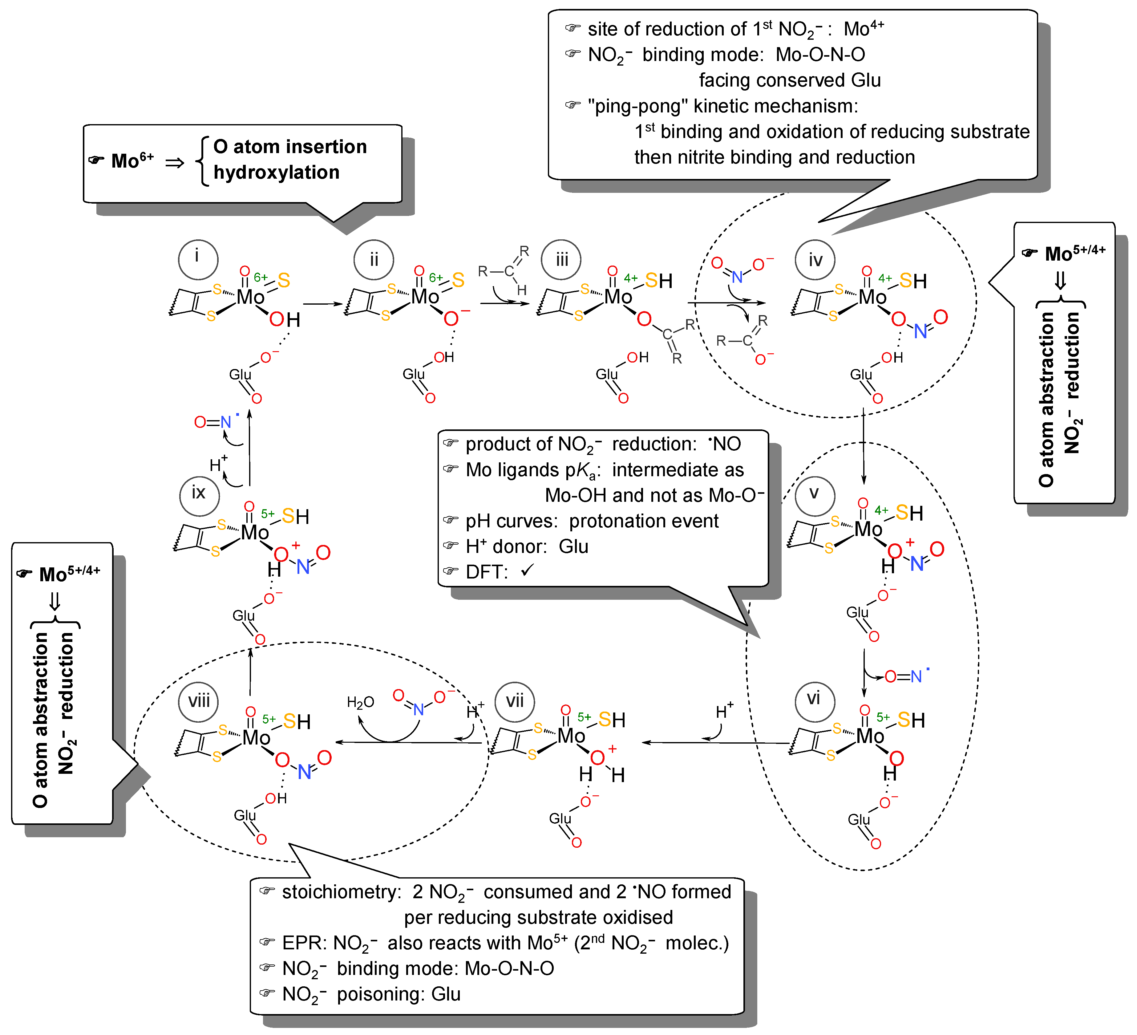 Molecules 28 05819 g008 Molecules 28 05819 g008