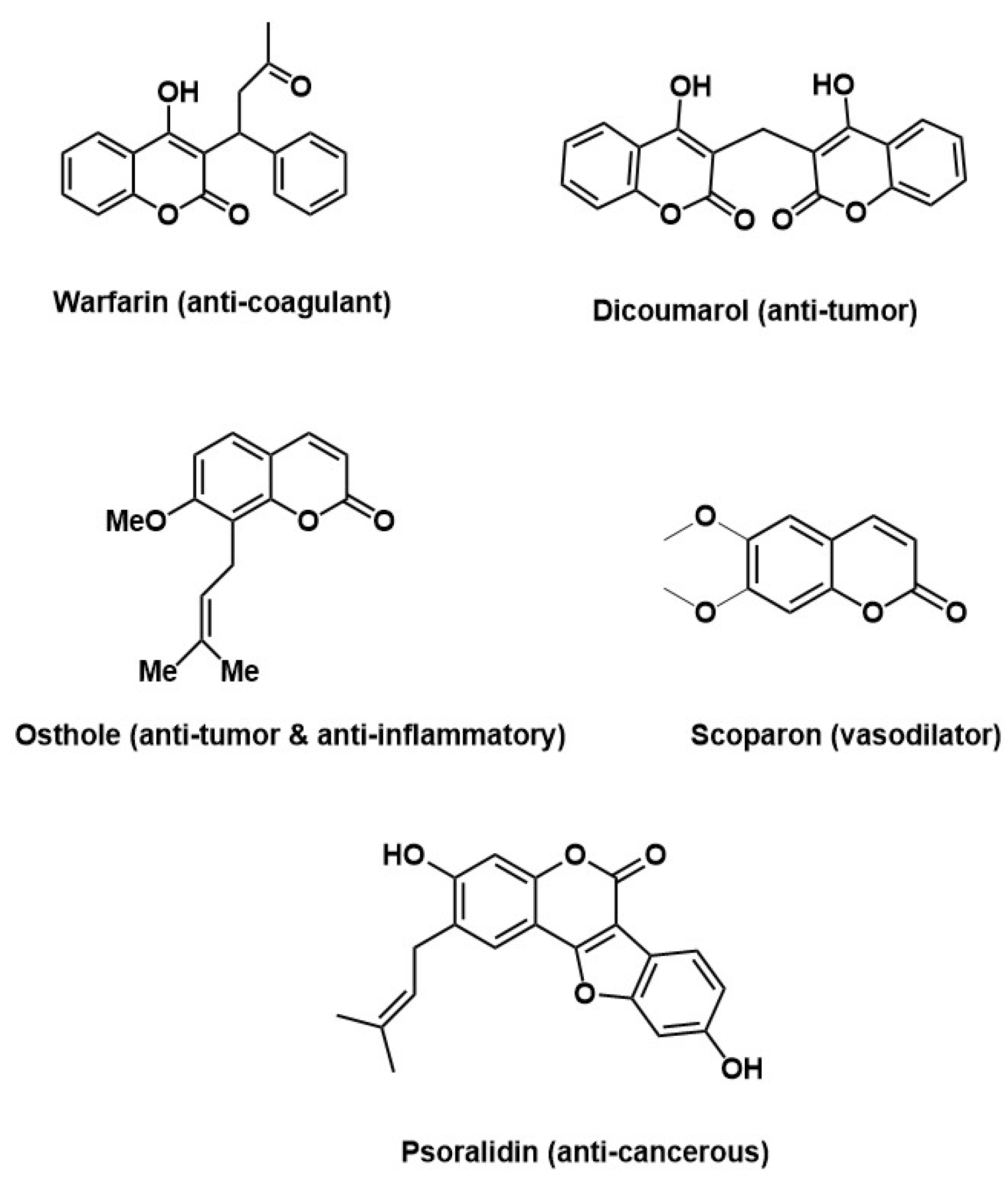 Molecules 28 05828 g001 Molecules 28 05828 g001
