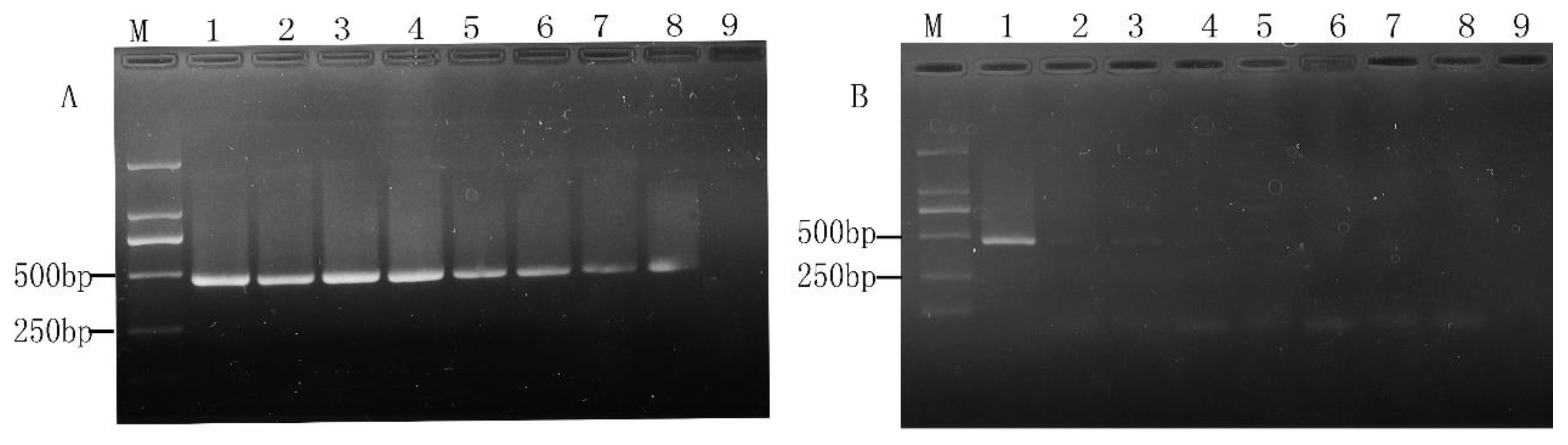 Molecules 28 05835 g003 Molecules 28 05835 g003