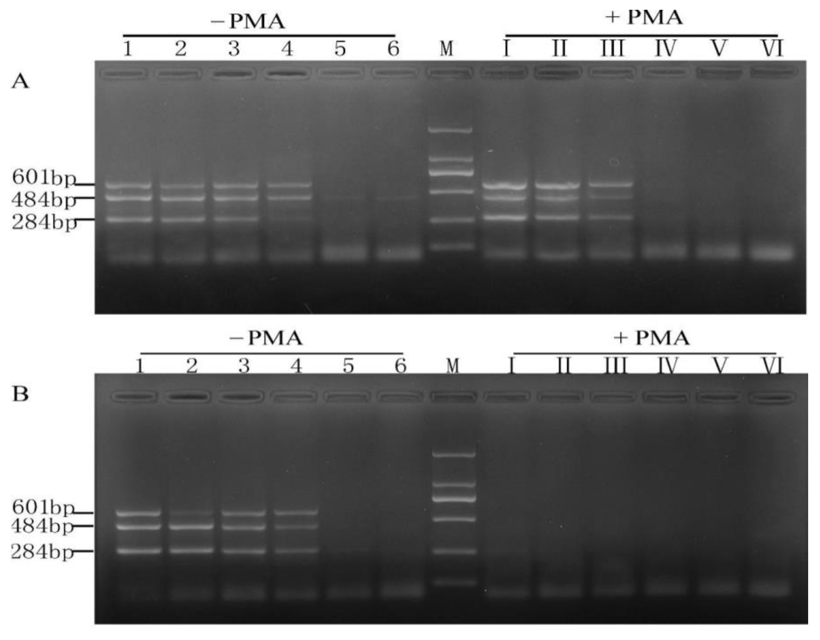Molecules 28 05835 g006 Molecules 28 05835 g006