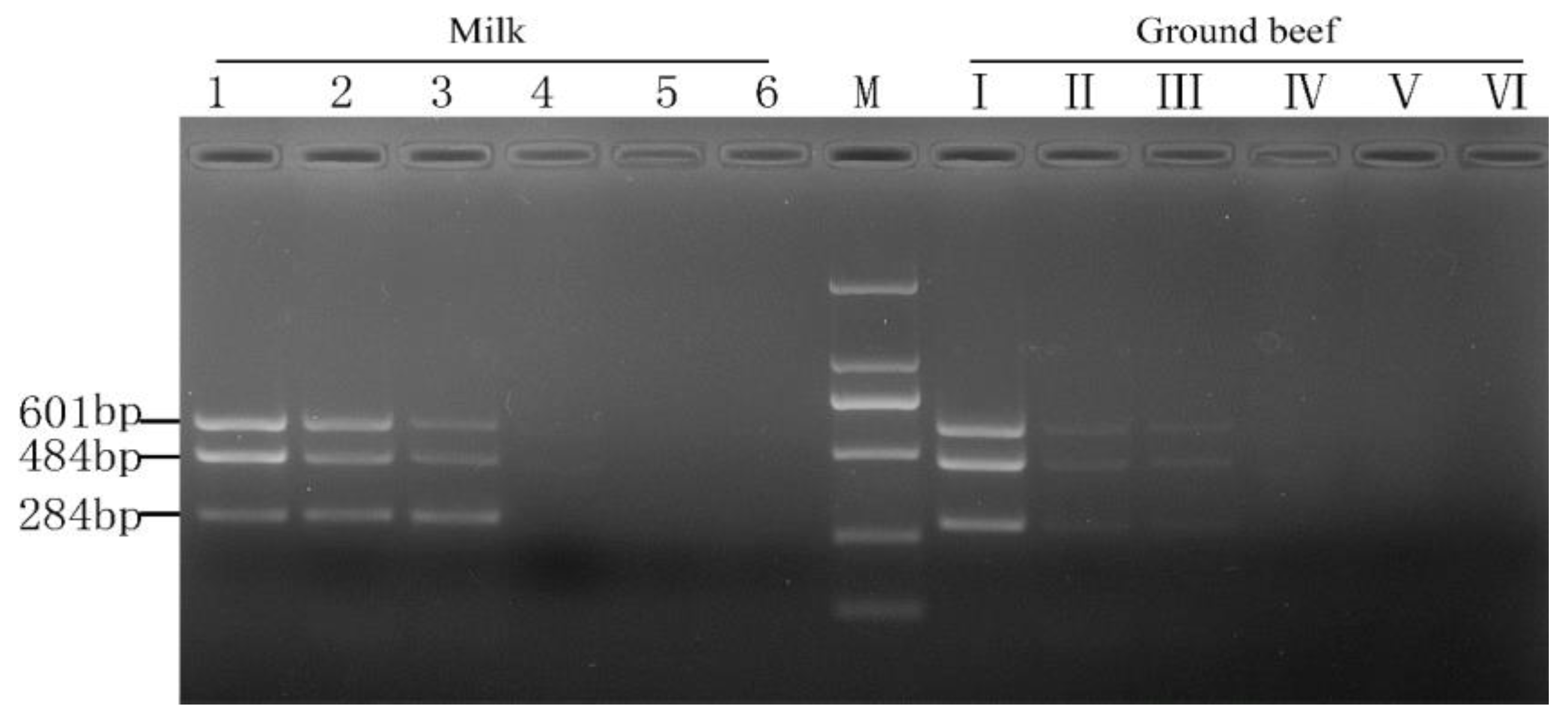 Molecules 28 05835 g007 Molecules 28 05835 g007