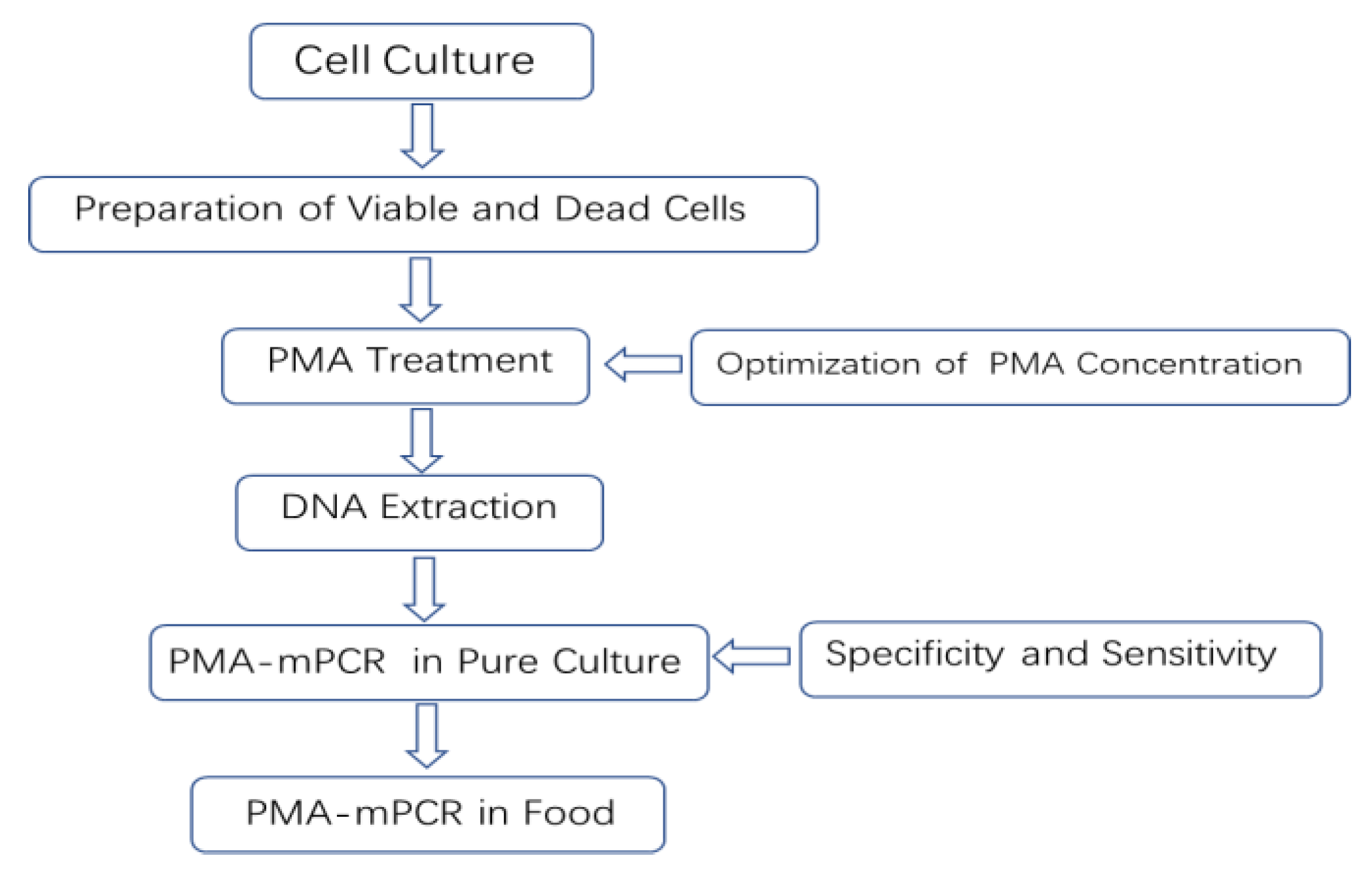 Molecules 28 05835 g009 Molecules 28 05835 g009