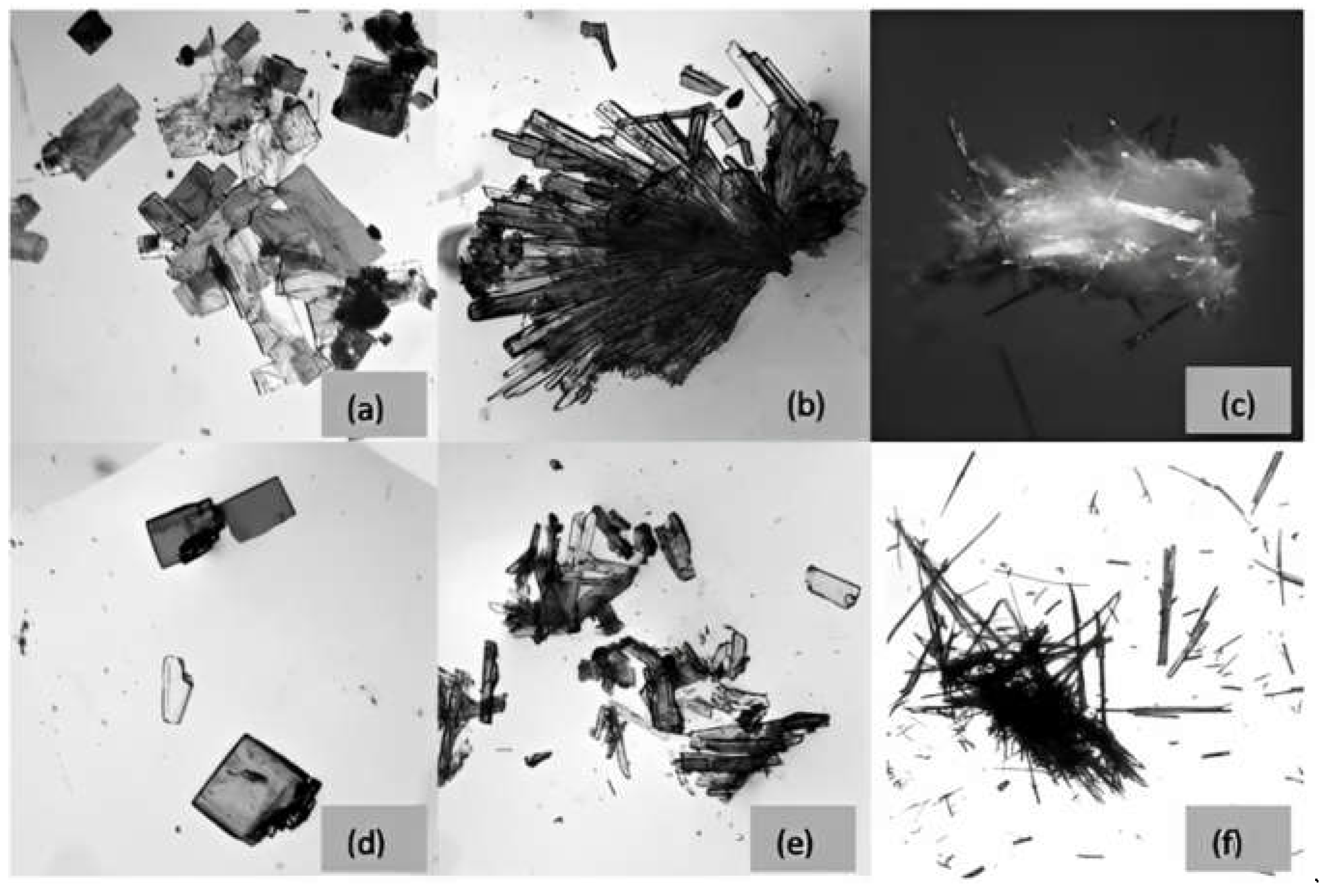 Molecules 28 05841 g006