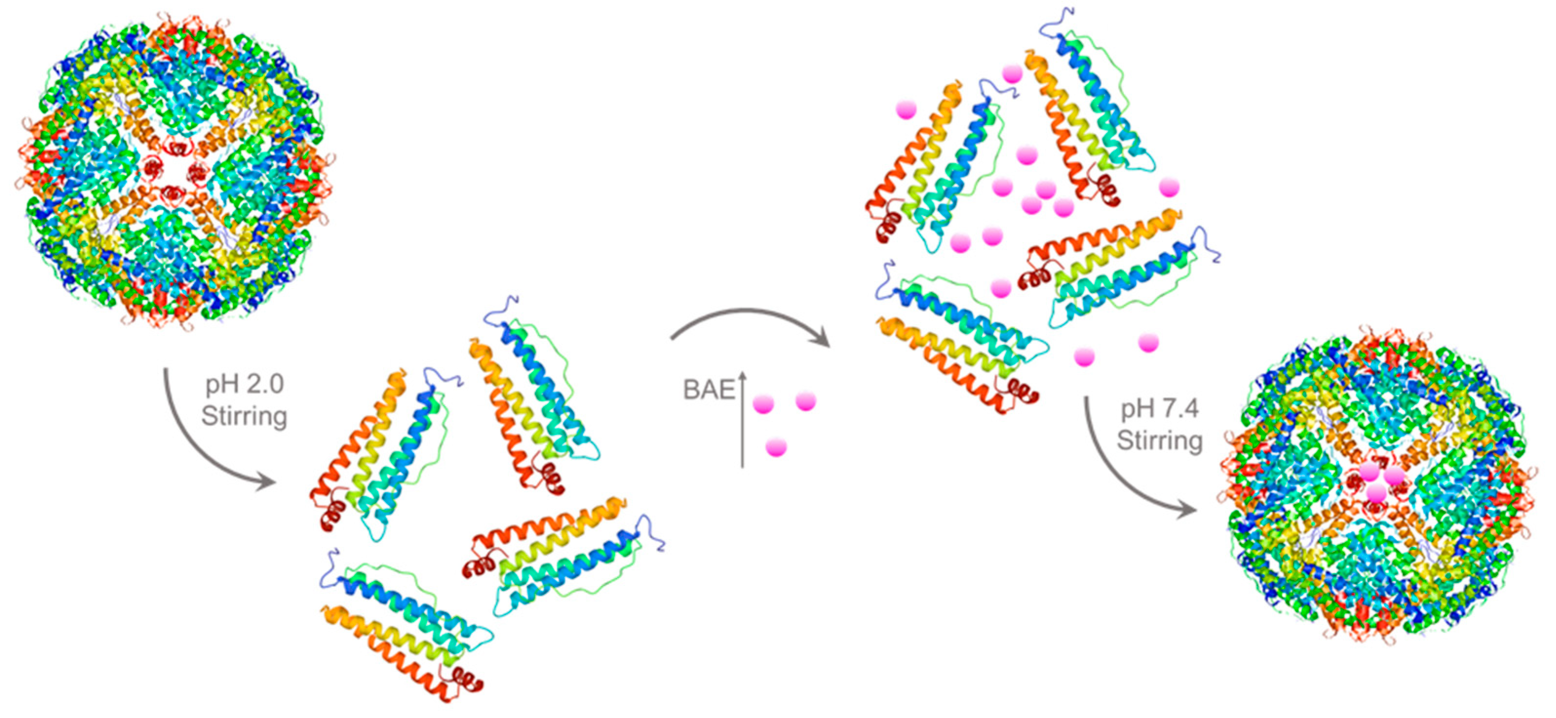 Molecules 28 05844 g006
