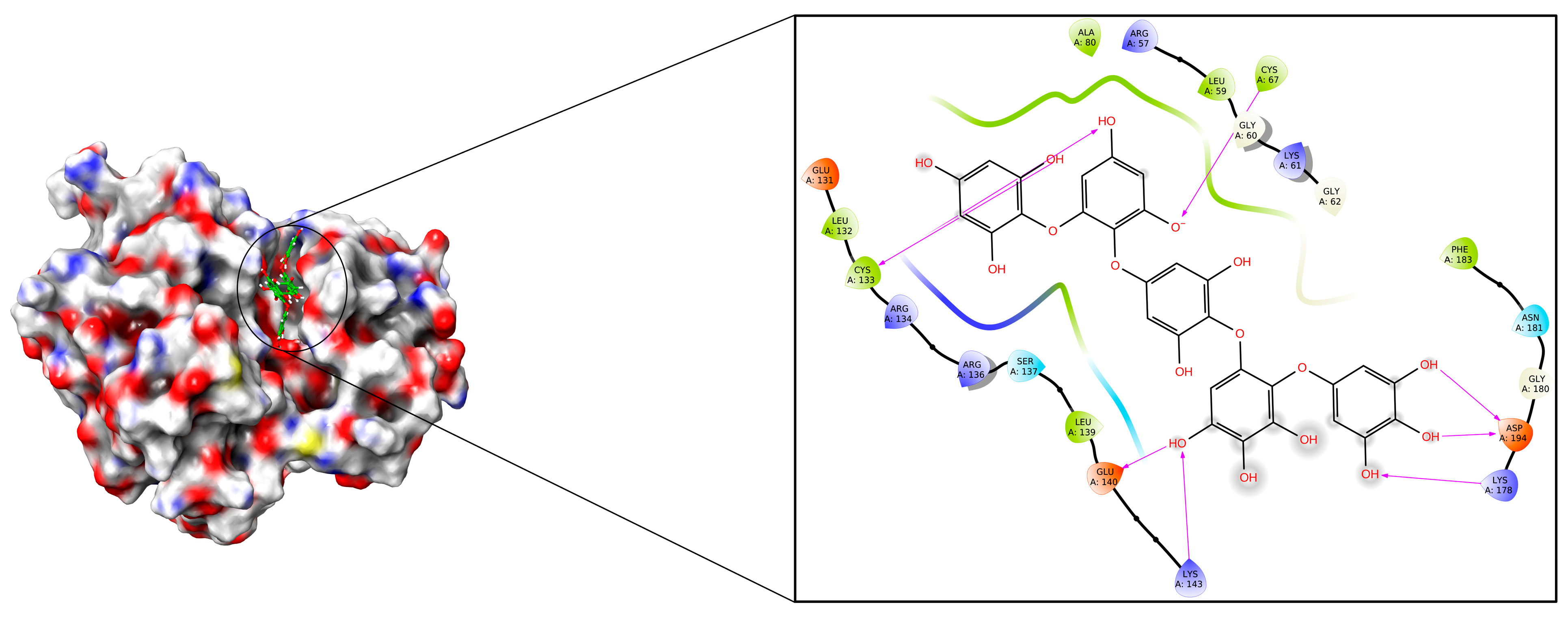 Molecules 28 05853 g005