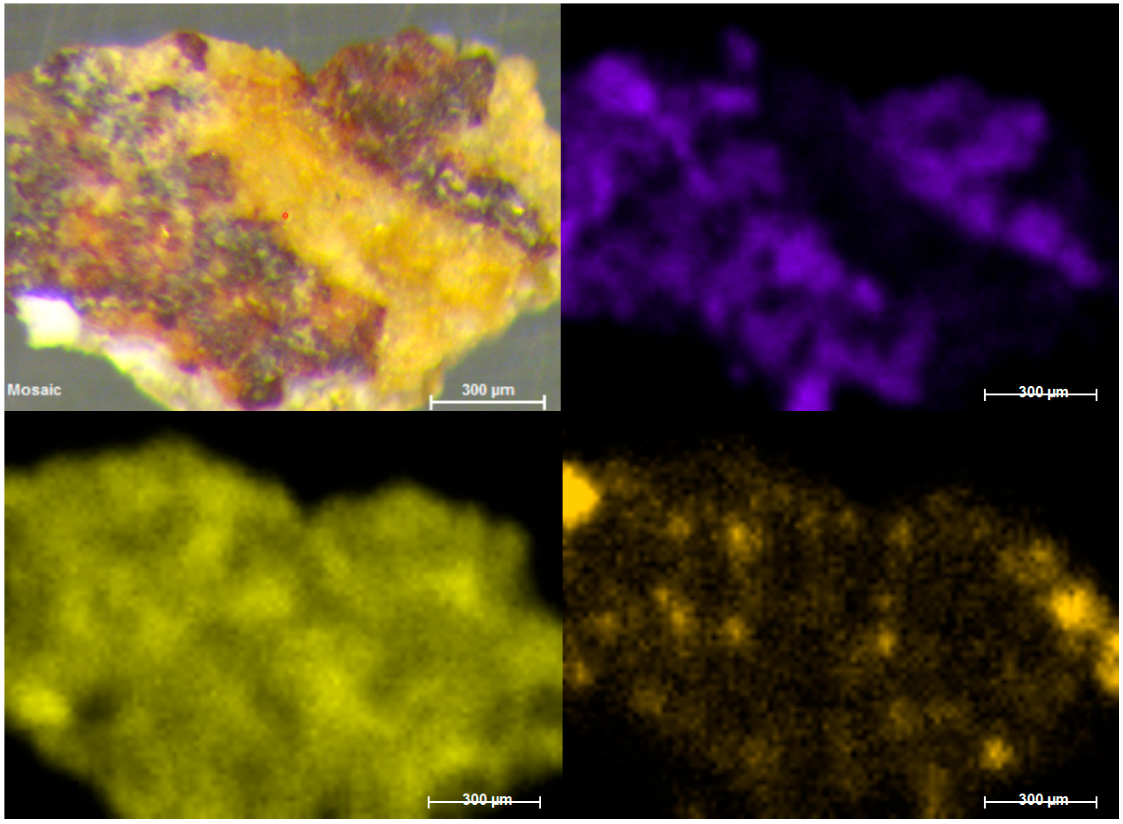 Molecules 28 05854 g002