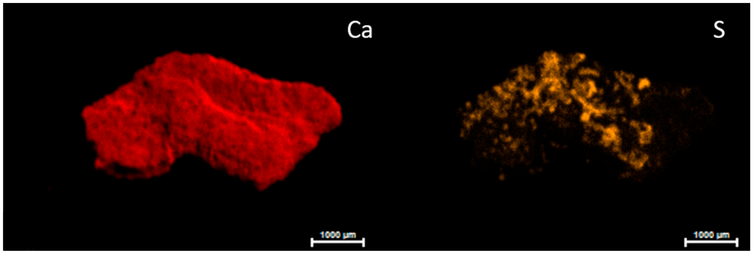 Molecules 28 05854 g006