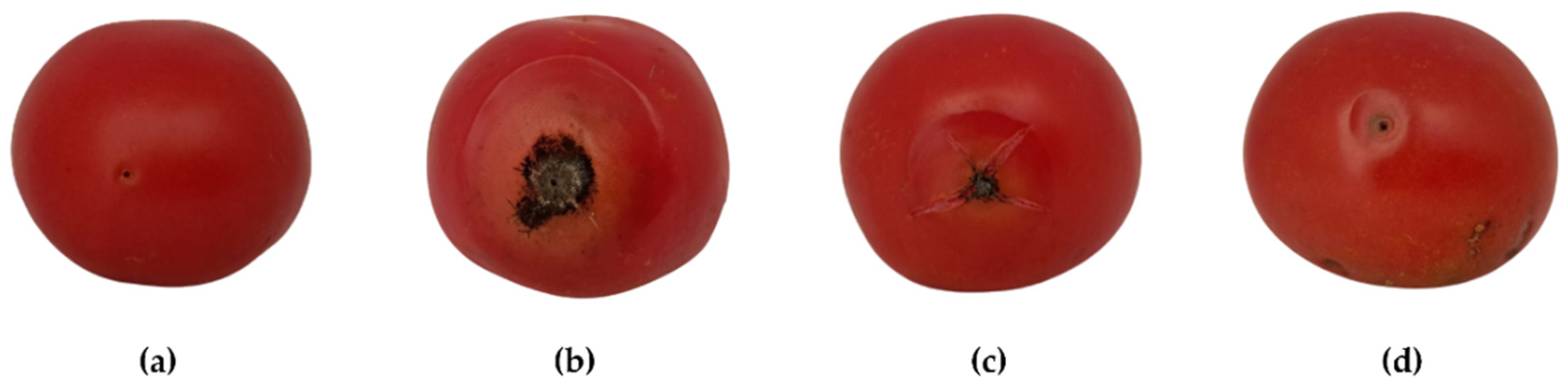 Molecules 28 05861 g003 Molecules 28 05861 g003