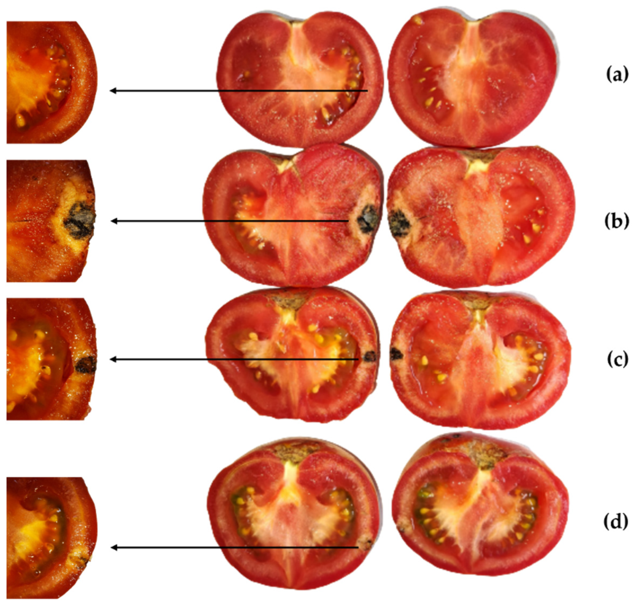 Molecules 28 05861 g004 Molecules 28 05861 g004