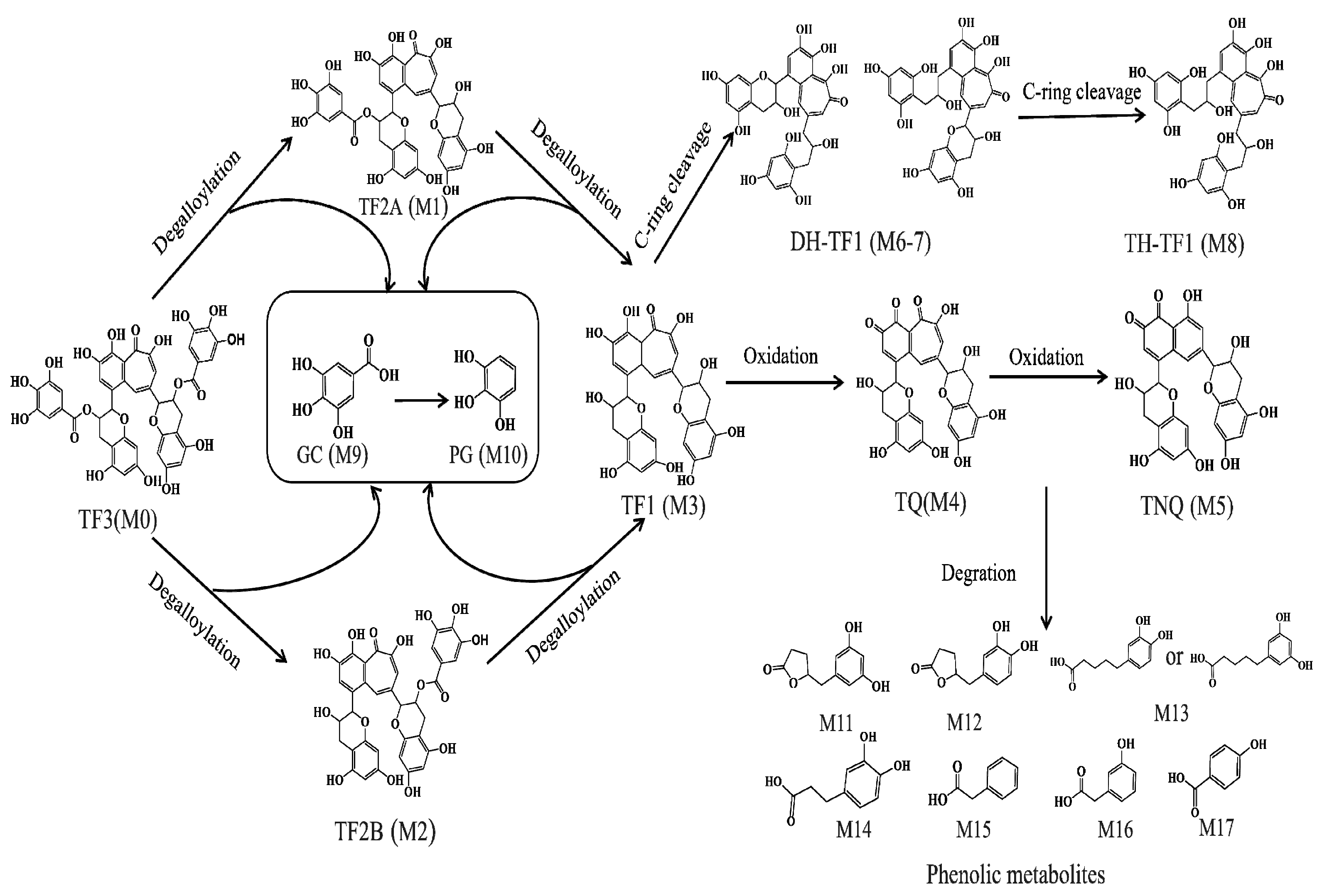 Molecules 28 05871 g004 Molecules 28 05871 g004