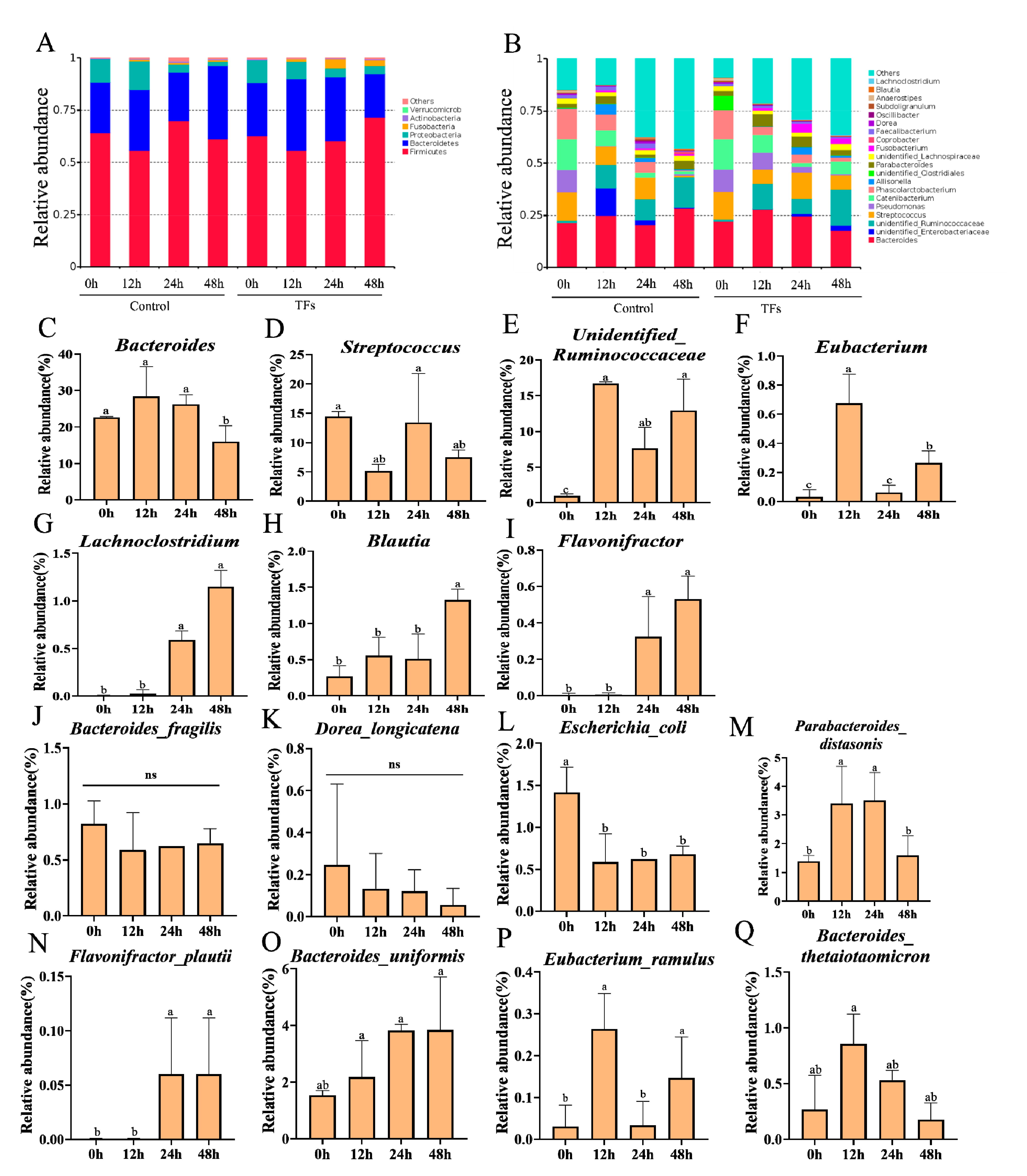 Molecules 28 05871 g005 Molecules 28 05871 g005